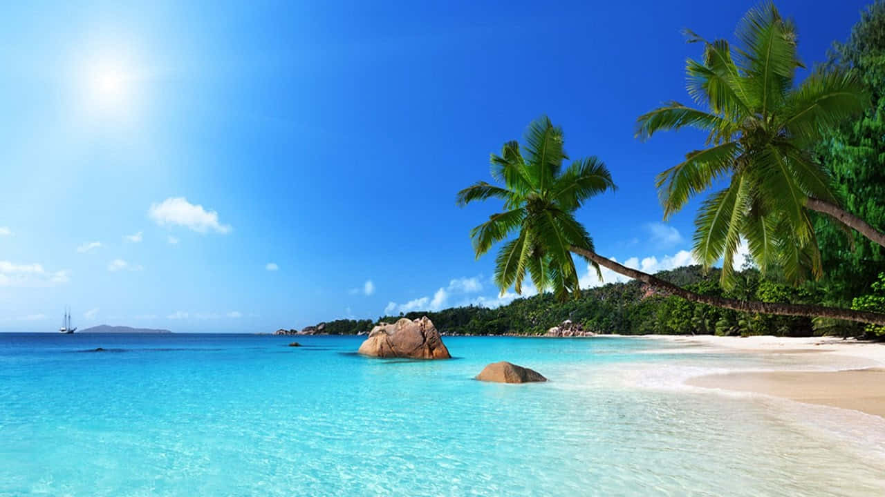 Beautiful Beach 桌布 壁紙 — 一個陽光普照的熱帶海灘，有碧綠海水、白色沙灘和棕櫚樹在明亮的藍天下搖曳。