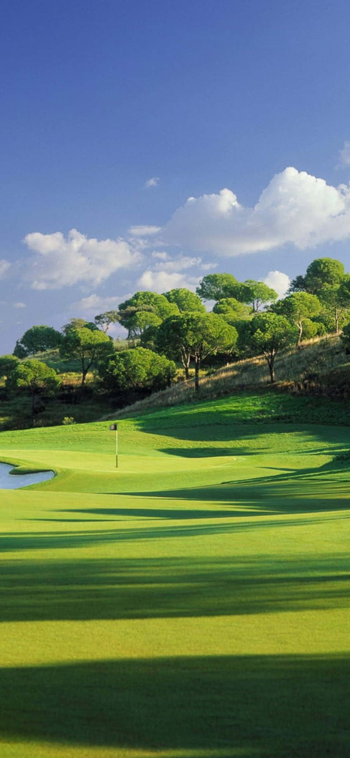 iPhone X Golf Course 桌布 壁紙 — 一個陽光普照的高爾夫球場，擁有充滿活力的綠色球道和樹木，在明亮的藍天下有蓬鬆的白雲。
