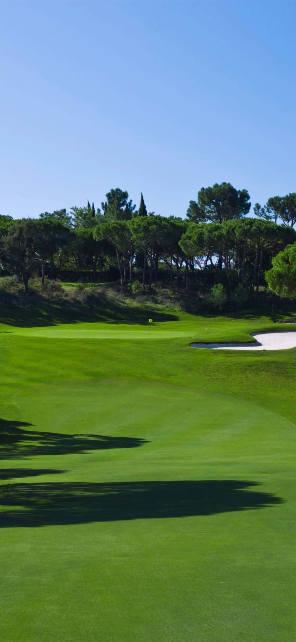 iPhone X Golf Course 桌布 壁紙 — 一個陽光普照的高爾夫球場，擁有充滿活力的綠色球道和沙坑，在清澈的藍天下。