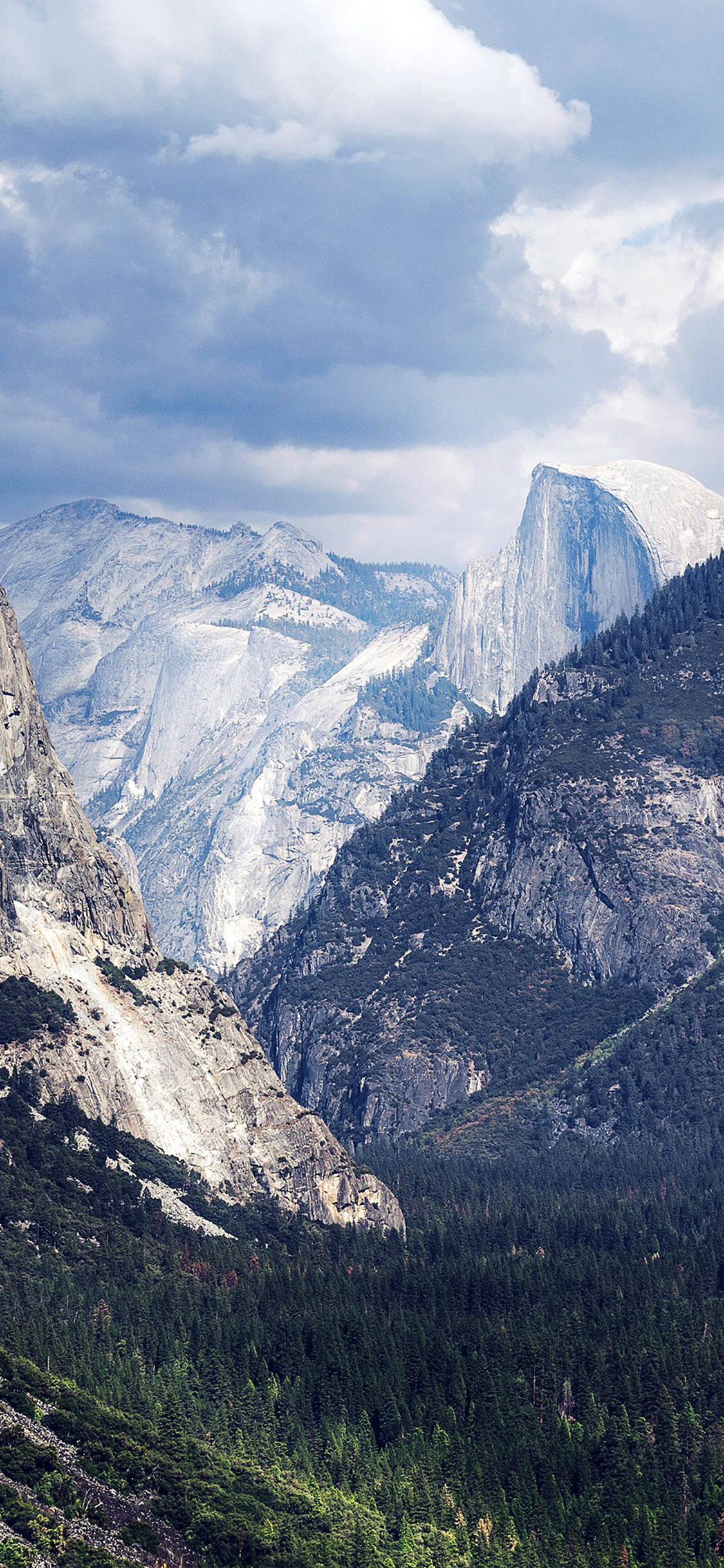 Yosemite iPhone 桌布 壁紙 — 一個雄偉的山谷，Half Dome 在陰天之下聳立於茂密的綠色森林之上。