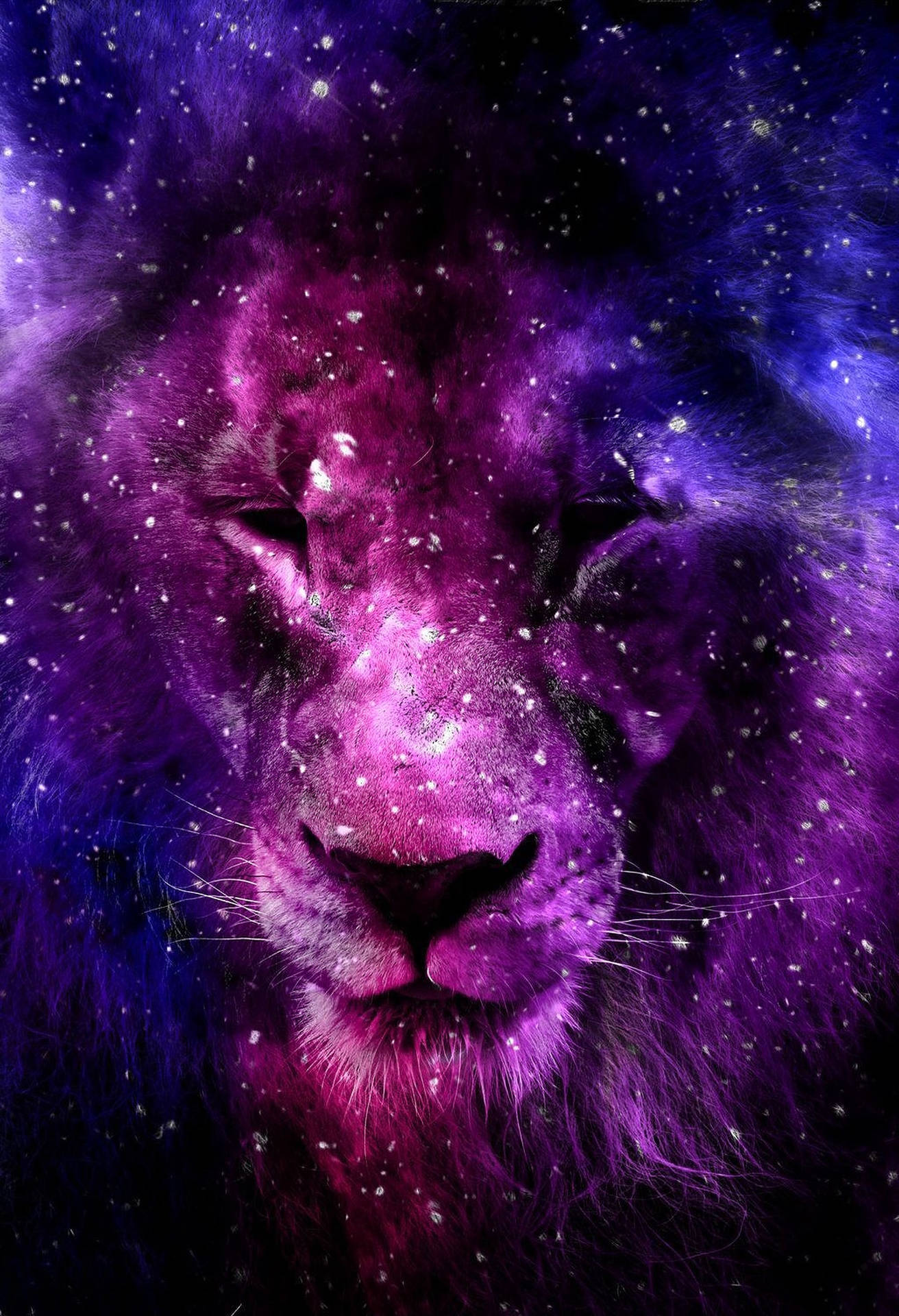 獅子臉散發著紫色宇宙星星和星雲的光芒。 — 銀河獅子 壁紙