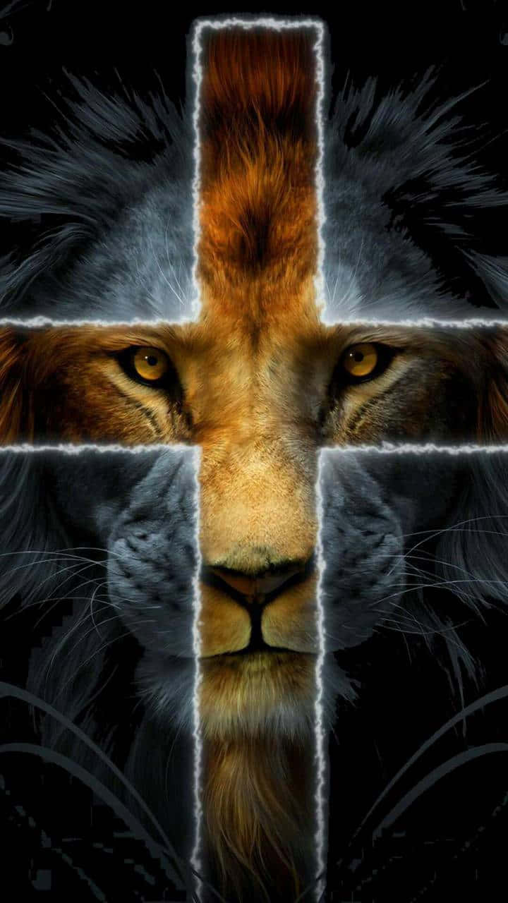 Lion Of Judah 桌布 壁紙 — 一個雄偉的獅子臉被發光的十字架在黑暗背景上分割。