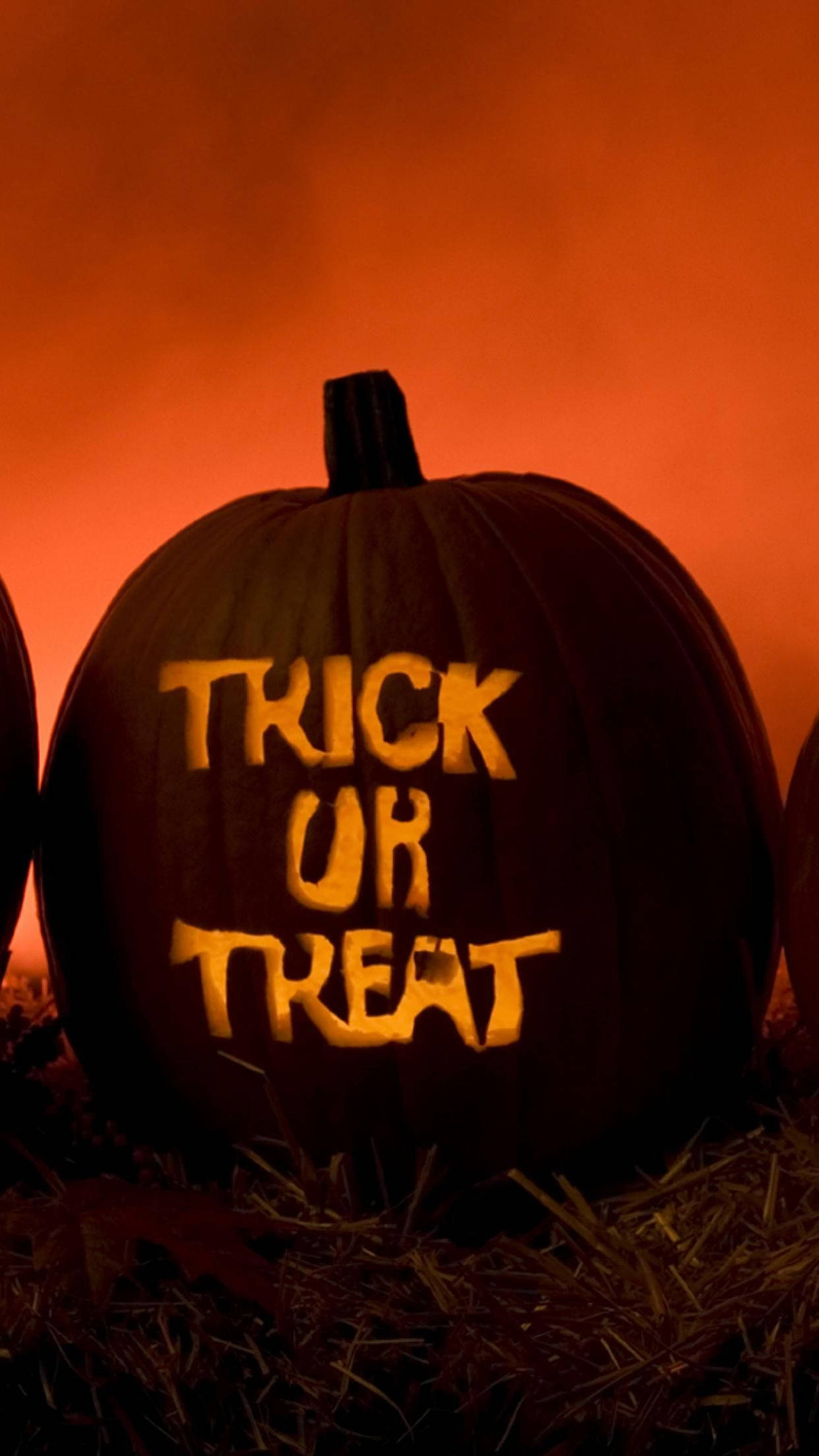 萬聖節動圖 桌布 壁紙 — 一個雕刻南瓜在火橙色黃昏天空下發出「TRICK OR TREAT」的光芒。