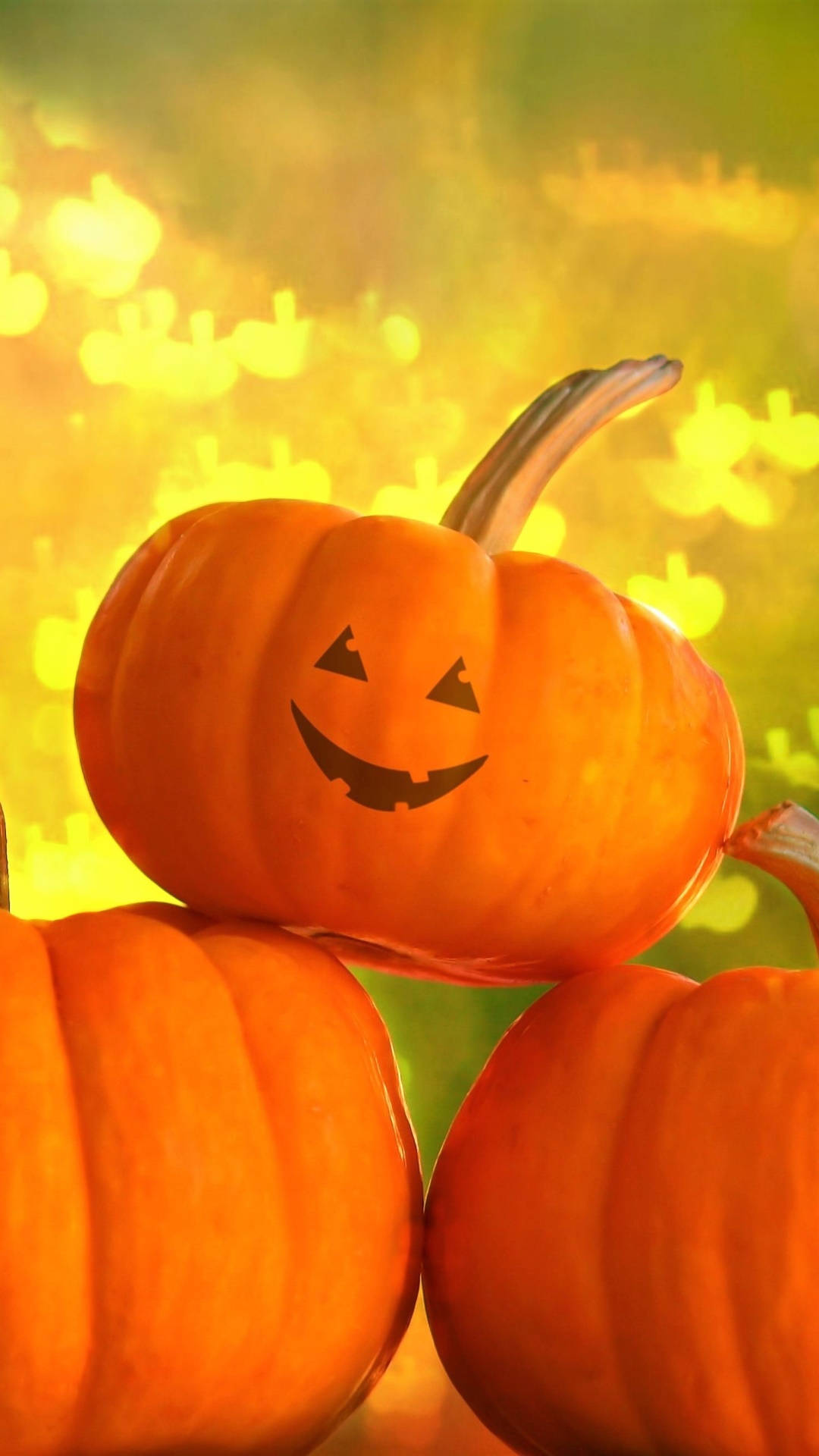 Cute Halloween Phone 桌布 壁紙 — 一個雕刻成笑臉的南瓜燈籠放在兩個南瓜上，背景是溫暖的金色散景。