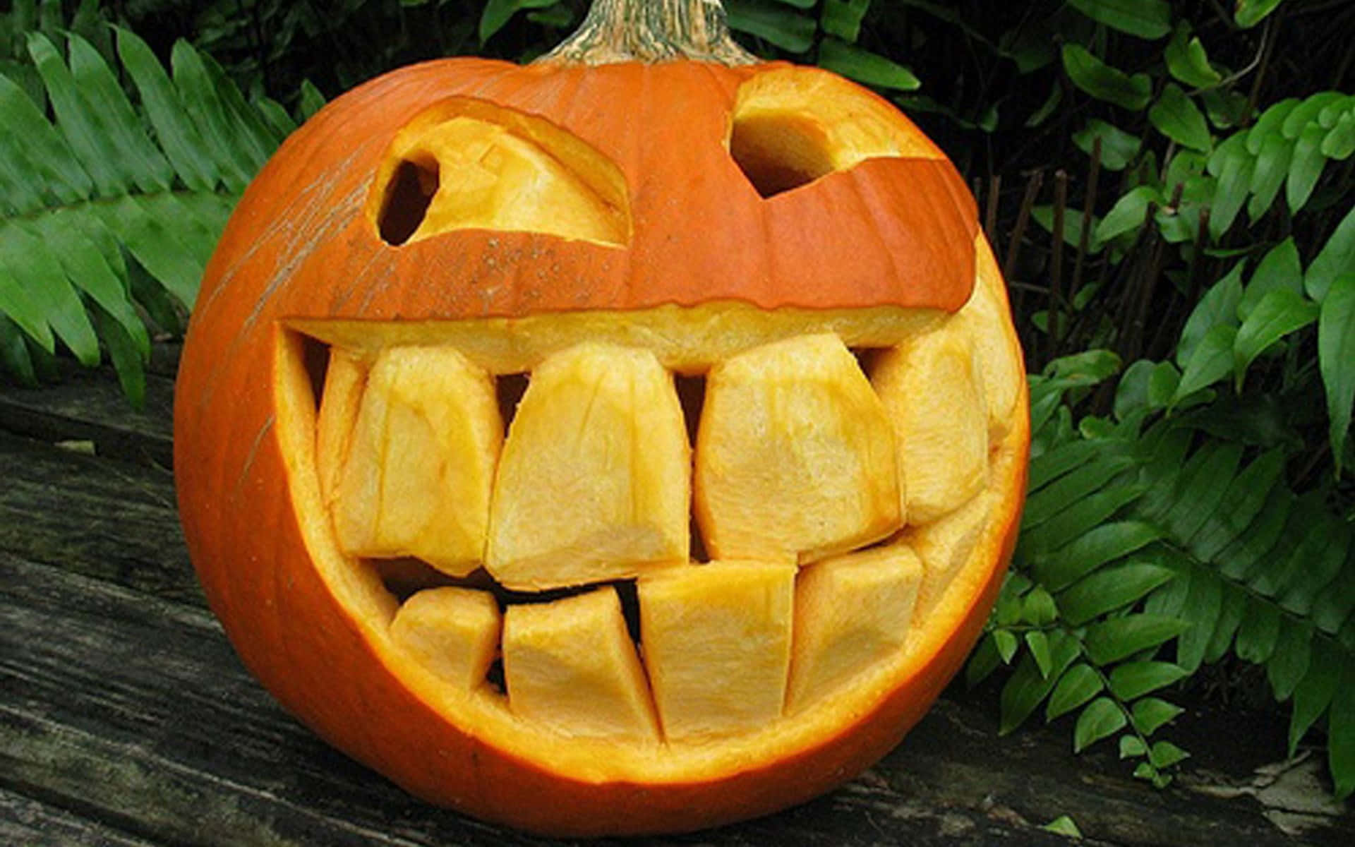 Pumpkin 桌布 壁紙 — 一個雕刻的橙色南瓜，帶著寬闊的露齒笑容，坐在風化的木頭上，周圍環繞著茂密的綠色蕨類植物。