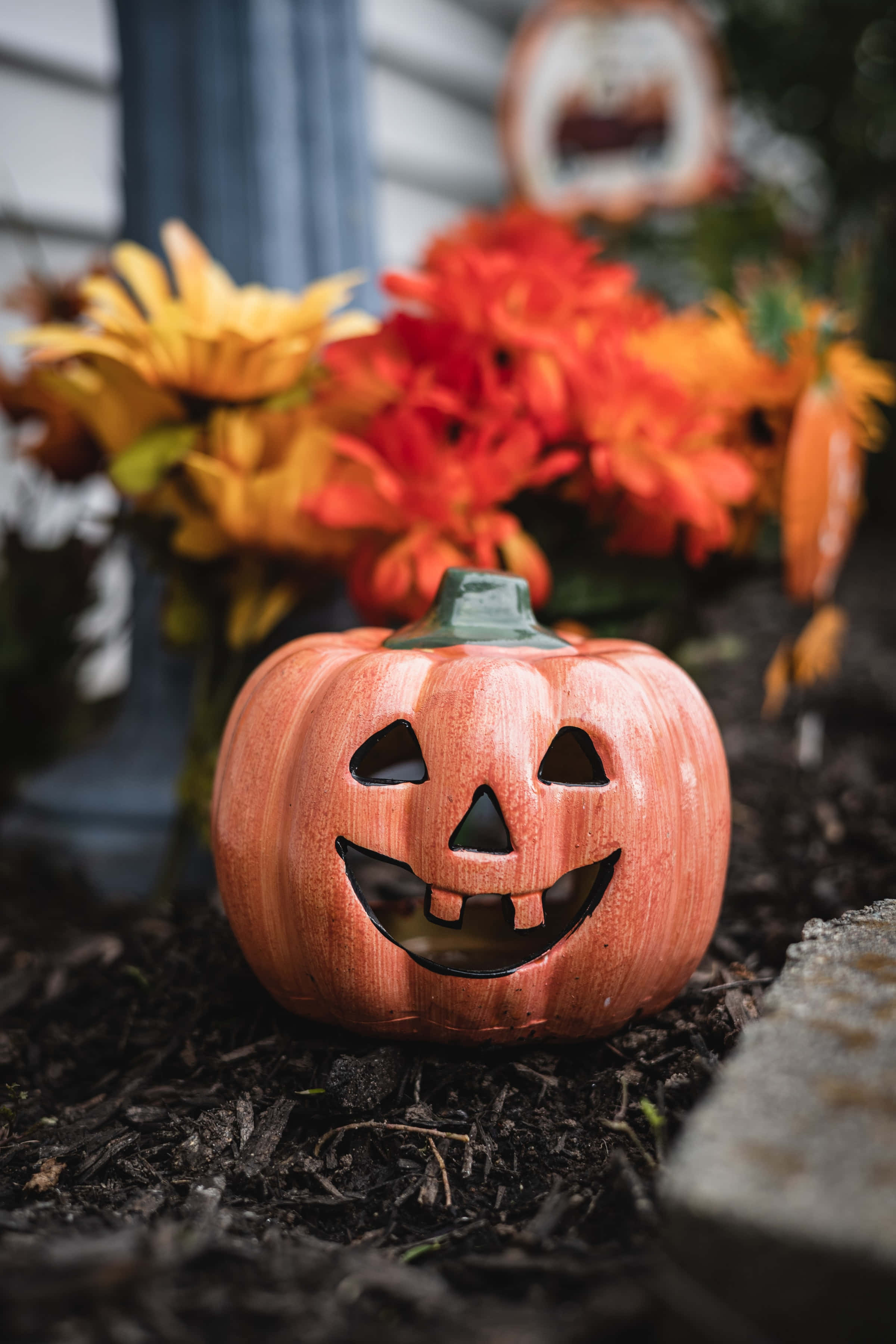 jack o'lantern 桌布 壁紙 — 一個雕刻的橙色南瓜，露出牙齒的笑容，坐在覆蓋物中，旁邊是秋花和家門。