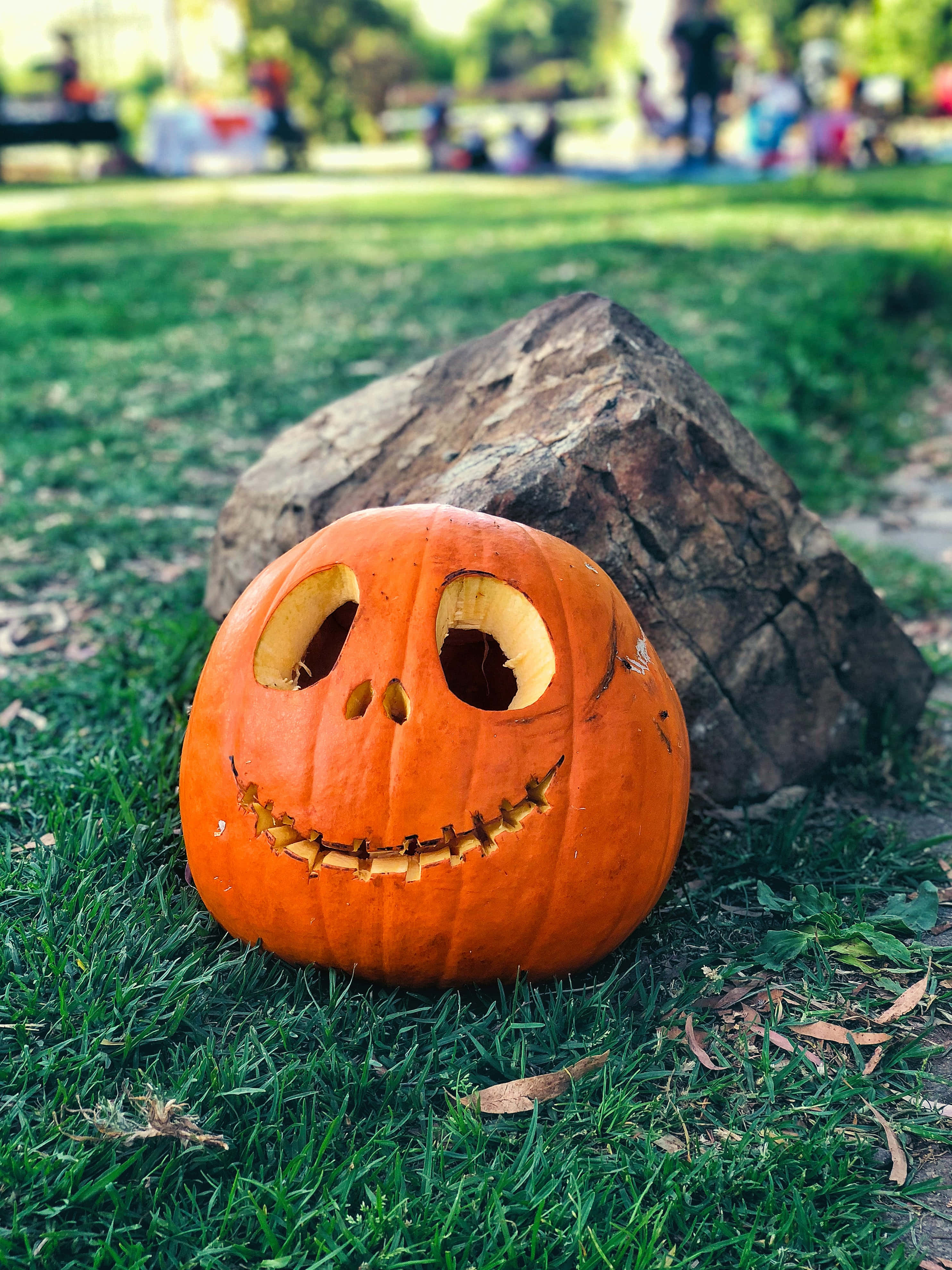 jack o'lantern 桌布 壁紙 — 一個雕刻過的橙色南瓜，縫合嘴巴和空洞眼睛，放在公園的綠色草地上，旁邊有一塊大石頭。