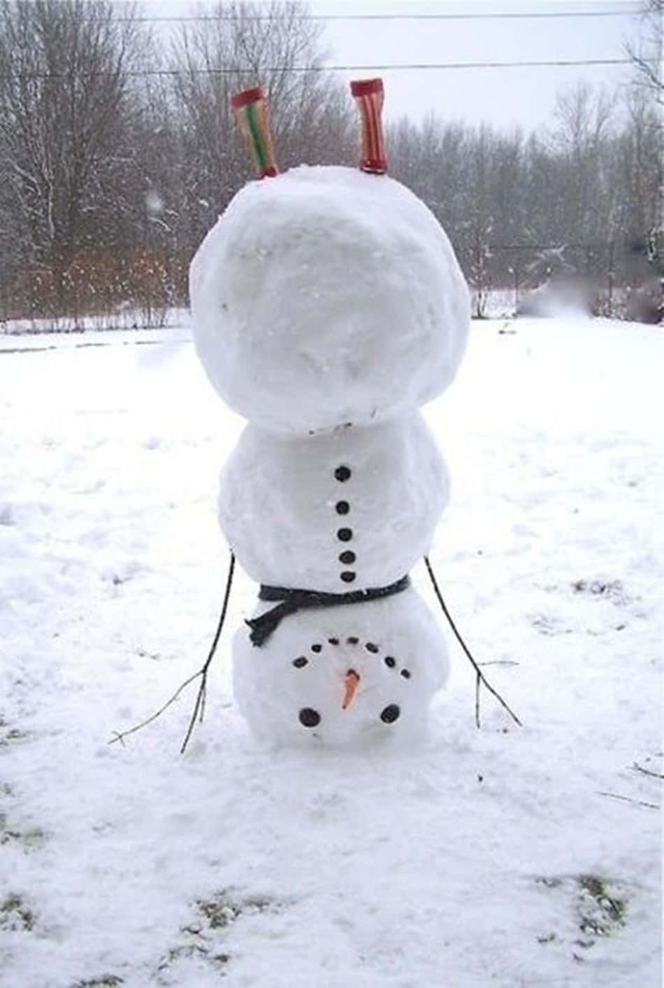 odd 桌布 壁紙 — 一個雪人，有胡蘿蔔鼻子和樹枝手臂，站在雪地庭院中，背景是光禿禿的樹木。