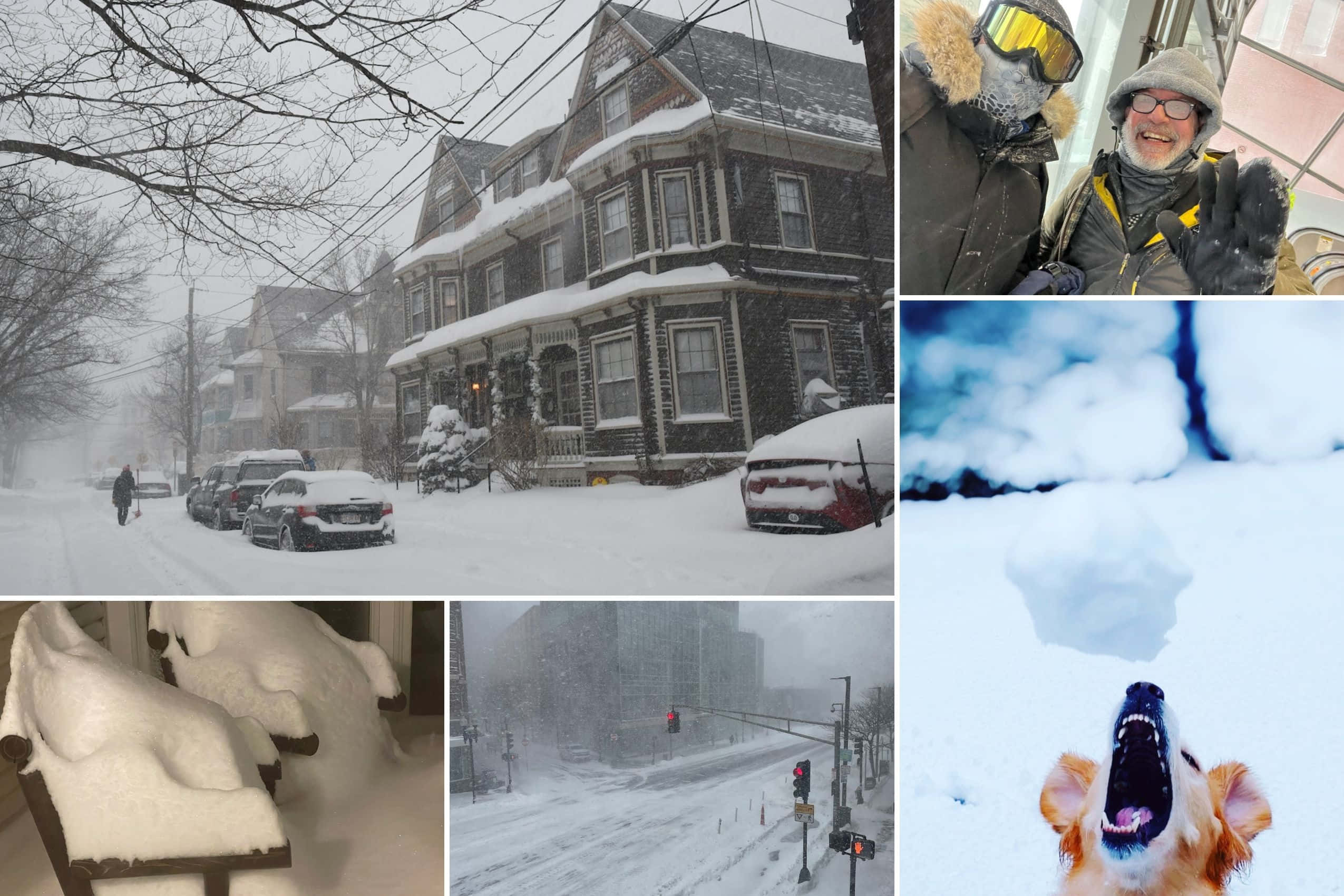 blizzard 桌布 壁紙 — 一個雪景拼貼畫，展示了一條被雪覆蓋的街道，有房屋、汽車和一個穿著冬季裝備的人，還有一隻在深雪中快樂的狗。