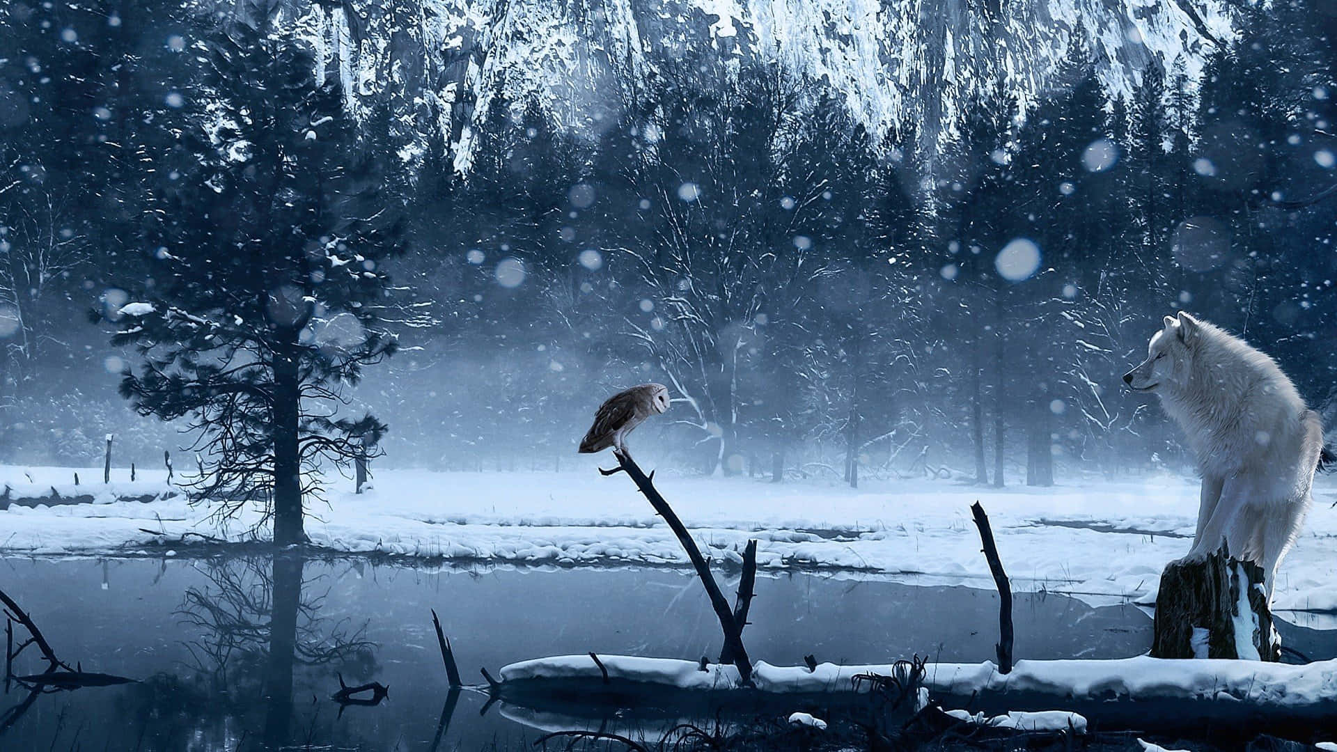 Wolf In Snow 桌布 壁紙 — 一個雪森林場景，有一隻白狼和一隻貓頭鷹棲息在結冰池塘旁的樹枝上，雪花飄落。