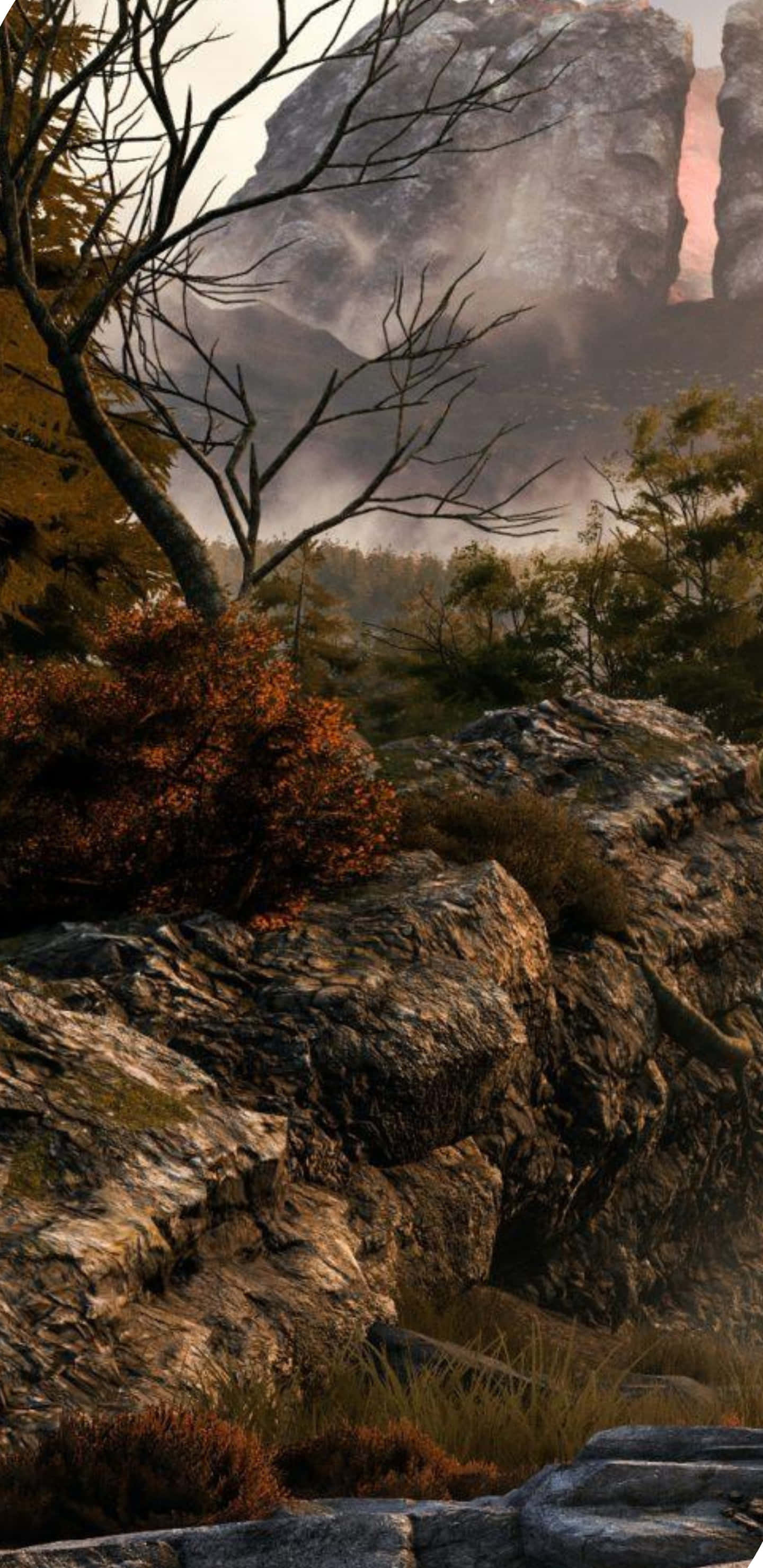Pixel 3xl Greedfall 桌布 壁紙 — 一個霧氣瀰漫的山谷，有光禿的樹木和秋天的樹葉，在柔和的金色日落之下。