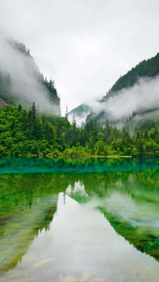 640x1136 桌布 壁紙 — 一個霧氣瀰漫的山間湖泊，在陰天之下倒映著翠綠的森林和霧氣繚繞的山峰。