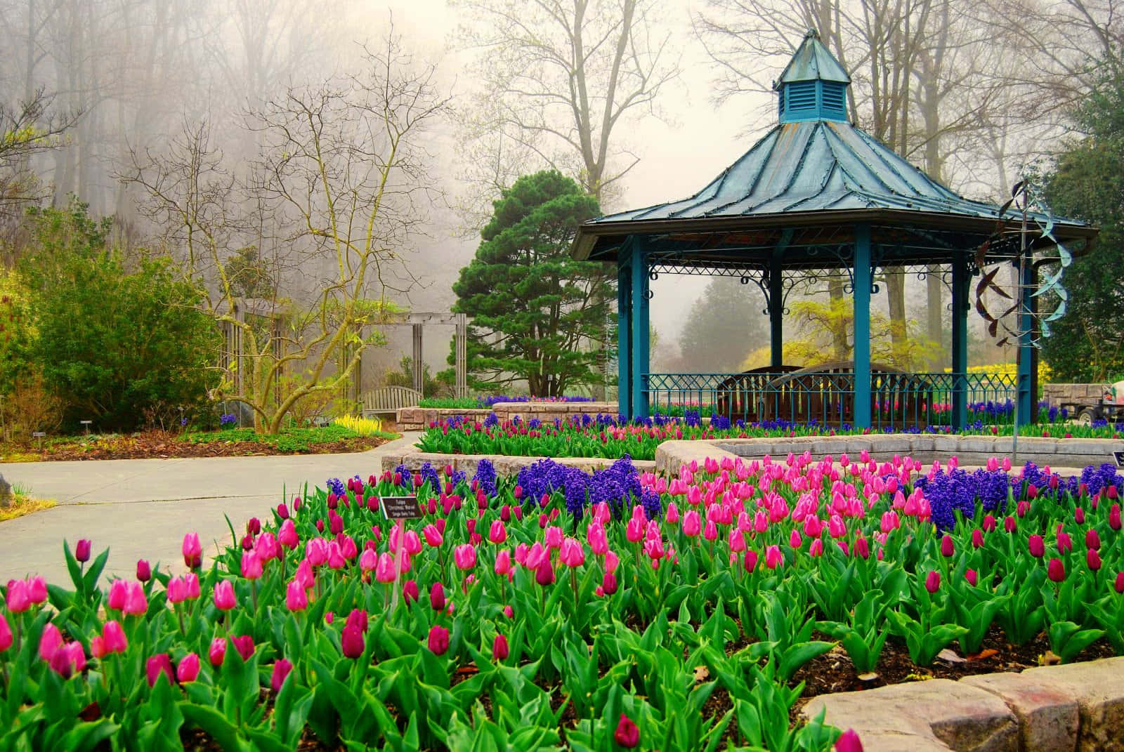 Spring Park 桌布 壁紙 — 一個霧氣瀰漫的花園場景，藍色涼亭周圍環繞著鮮豔的粉紅色和紫色鬱金香，背景有光禿禿的樹木。