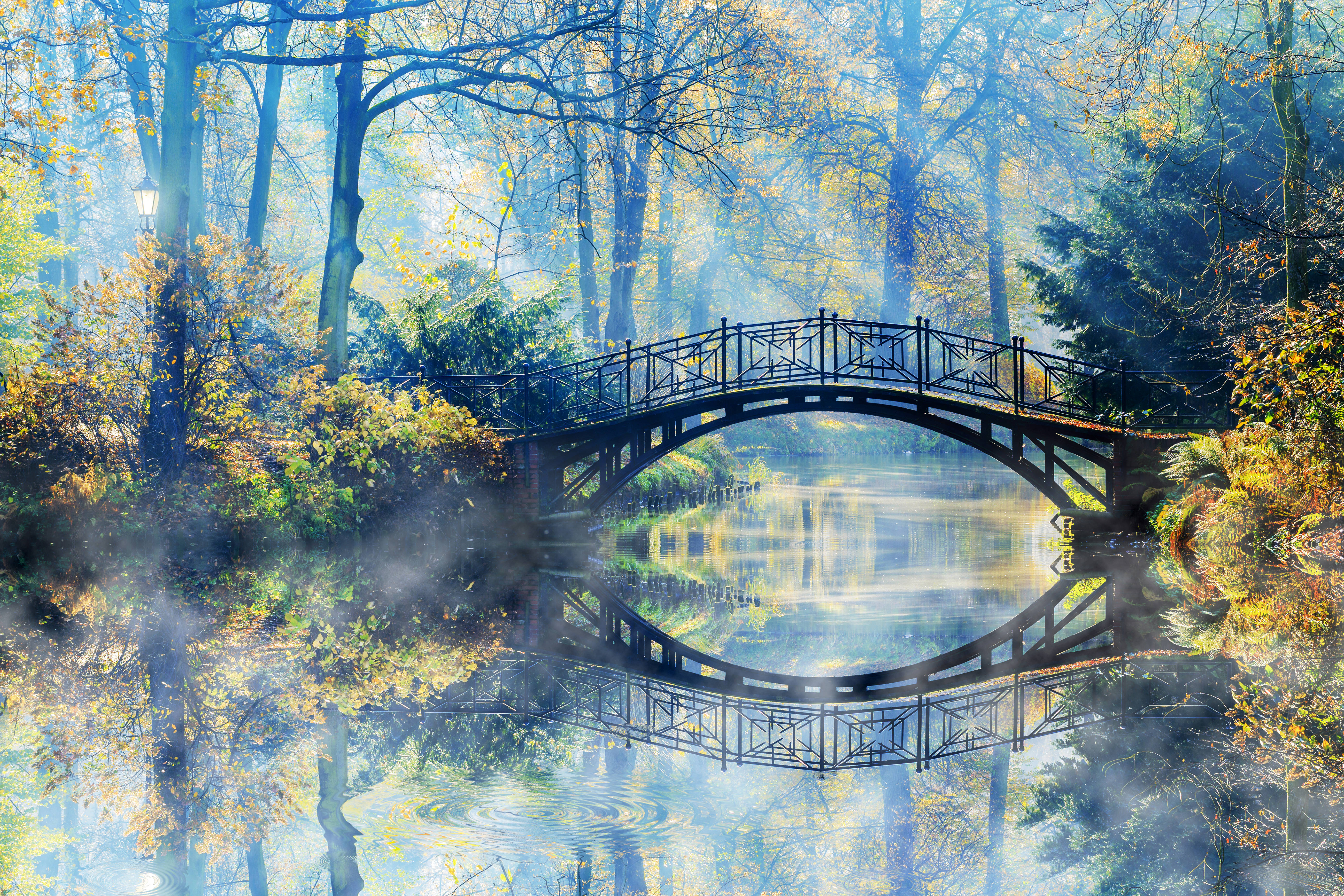 公園 桌布 壁紙 — 一個霧濛濛的秋日早晨，一座黑色拱橋完美倒映在平靜的水面上，周圍是金色和綠色的樹葉。
