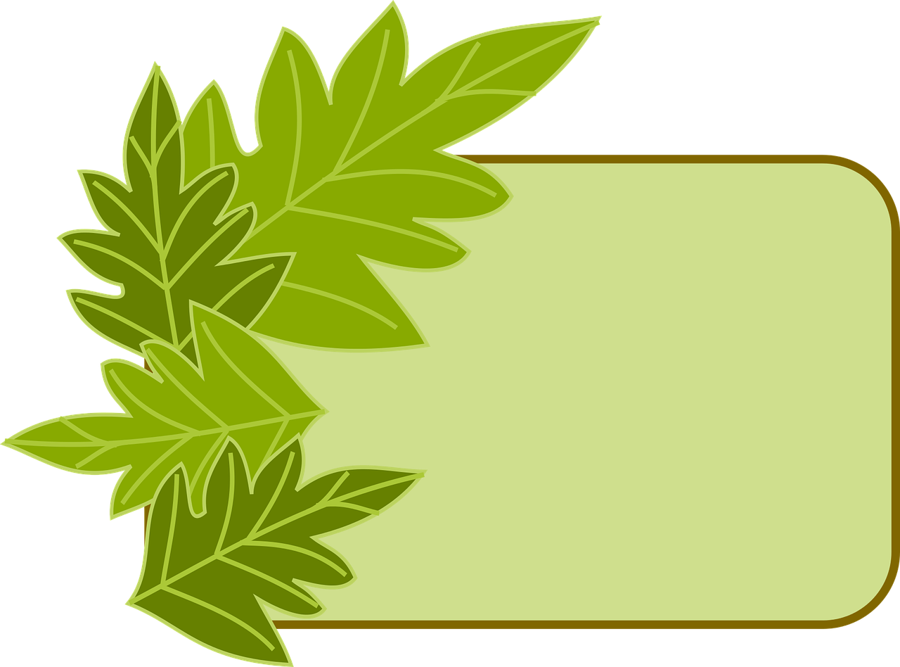 葉子 桌布 壁紙 — 一個青檸綠色長方形標籤，飾有風格化的綠色葉子，背景為黑色。