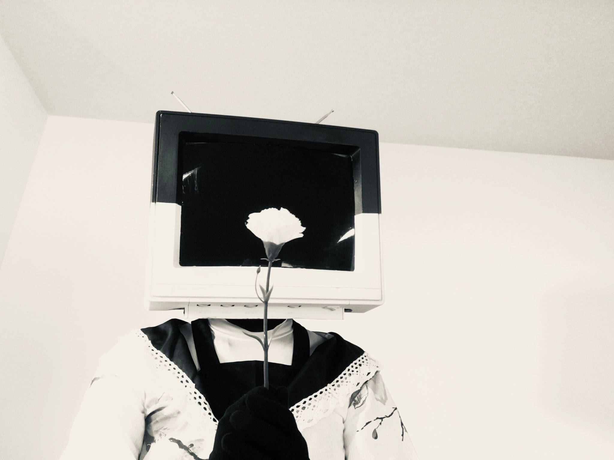 tv 桌布 壁紙 — 一個頭部為復古電視的人，對著純白牆壁手持一朵白花。