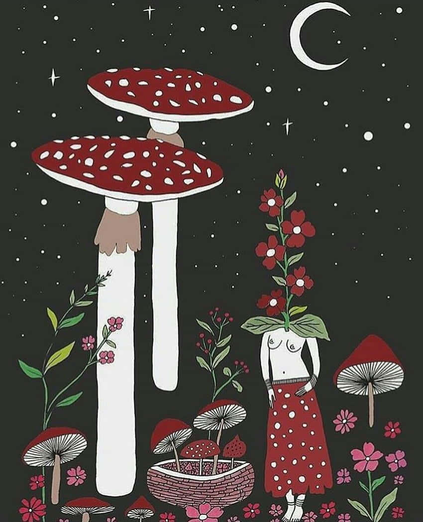 Surreal Art 桌布 壁紙 — 一個頭部為花朵的人站在巨型紅色蘑菇之間，背景有新月和星星的奇幻插圖。
