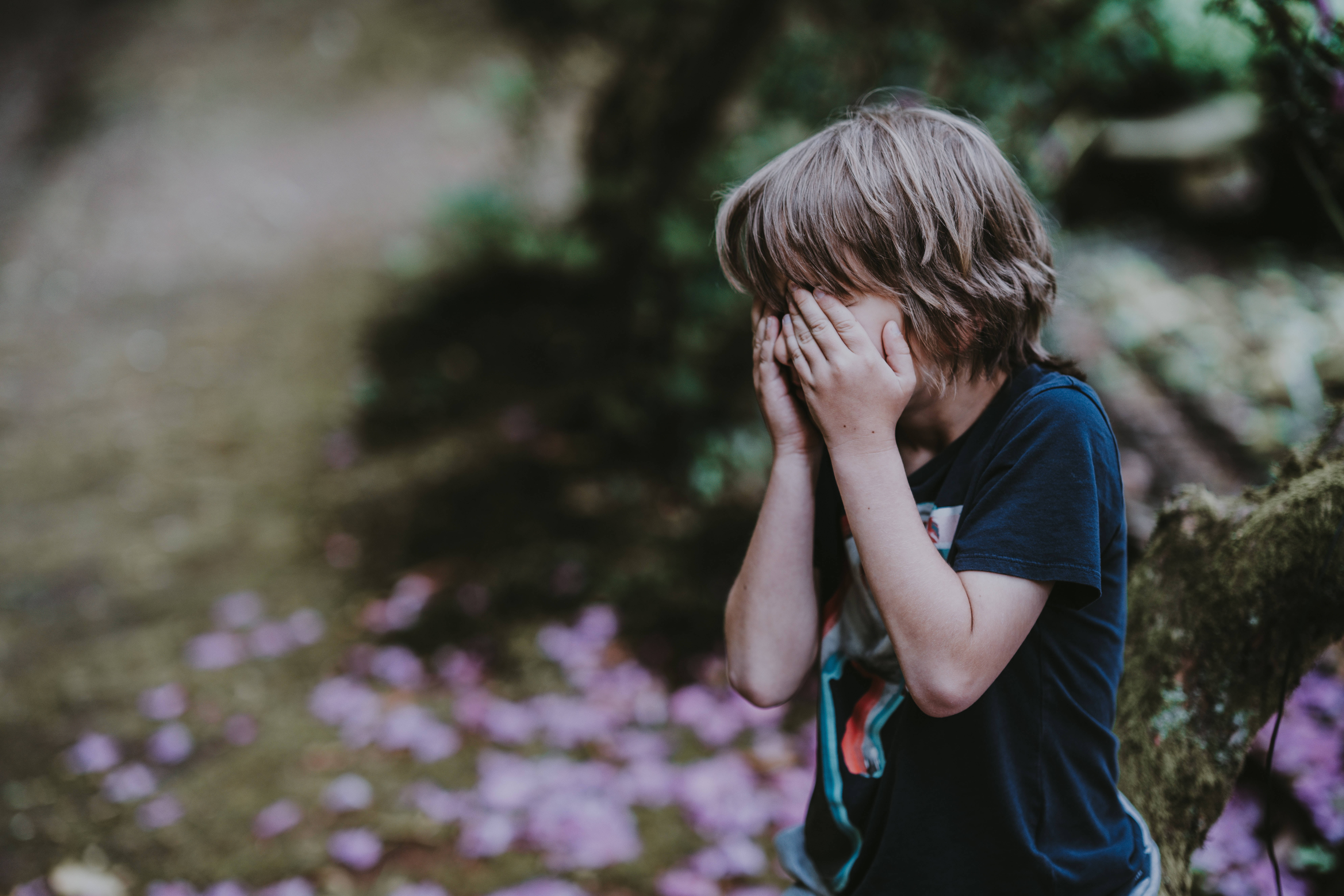 crying sad boy 桌布 壁紙 — 一個頭髮凌亂的小孩在散落著粉紅色花瓣的森林地面上用雙手遮住臉。