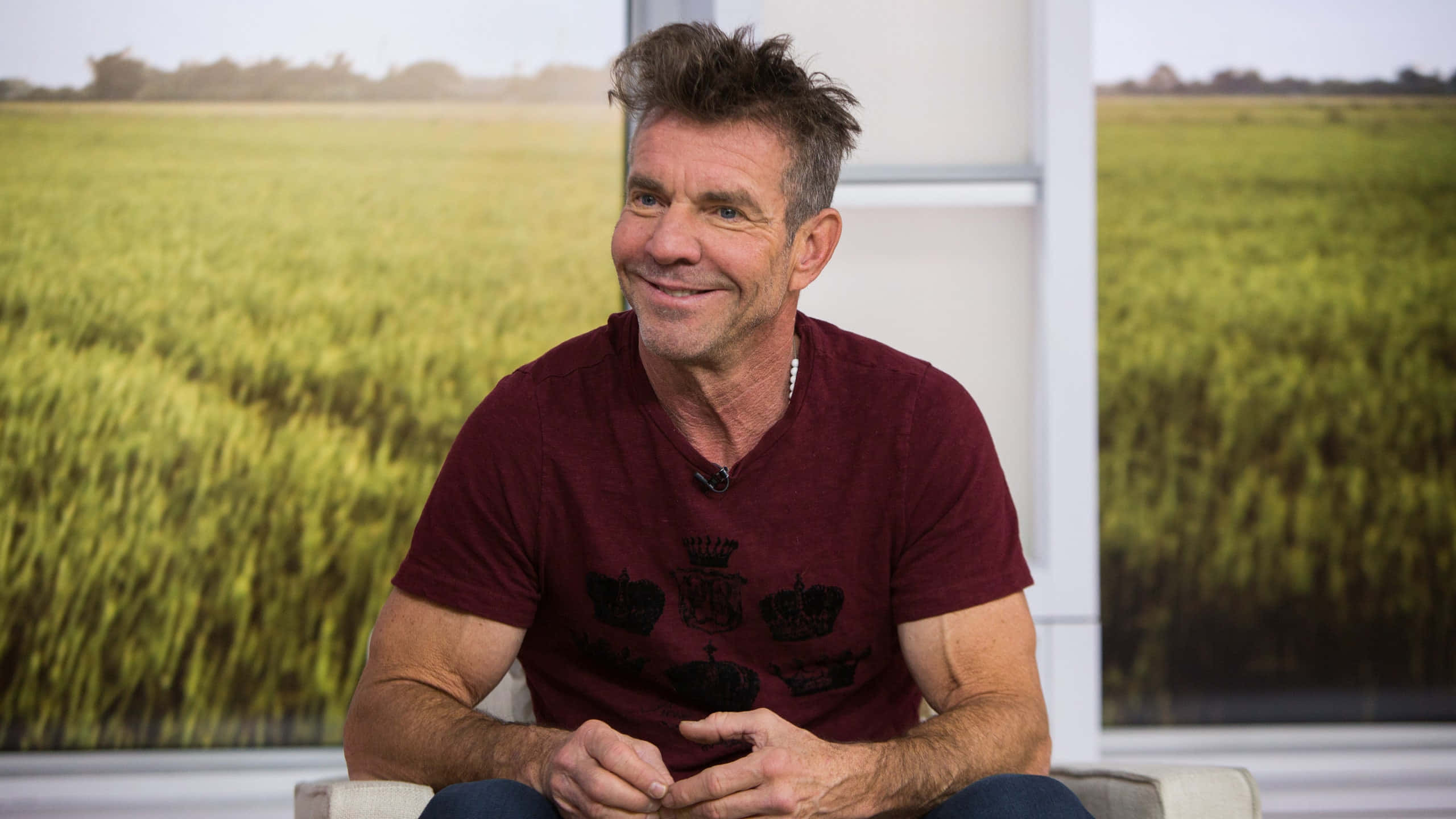 Dennis Quaid 桌布 壁紙 — 一個頭髮凌亂的男人坐在大窗前，窗外是陽光照耀的綠色田野，他露出溫暖的笑容。