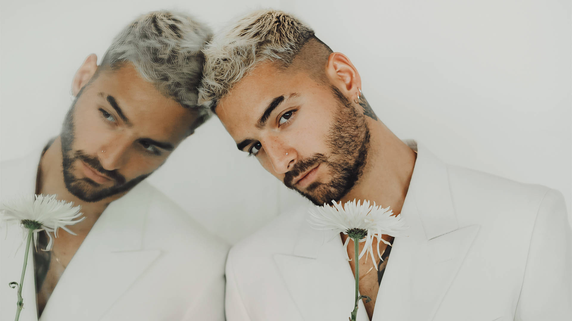 Maluma 桌布 壁紙 — 一個頭髮和鬍鬚漂白了的男人穿著白色西裝，在純白色背景前拿著一朵白色雛菊。