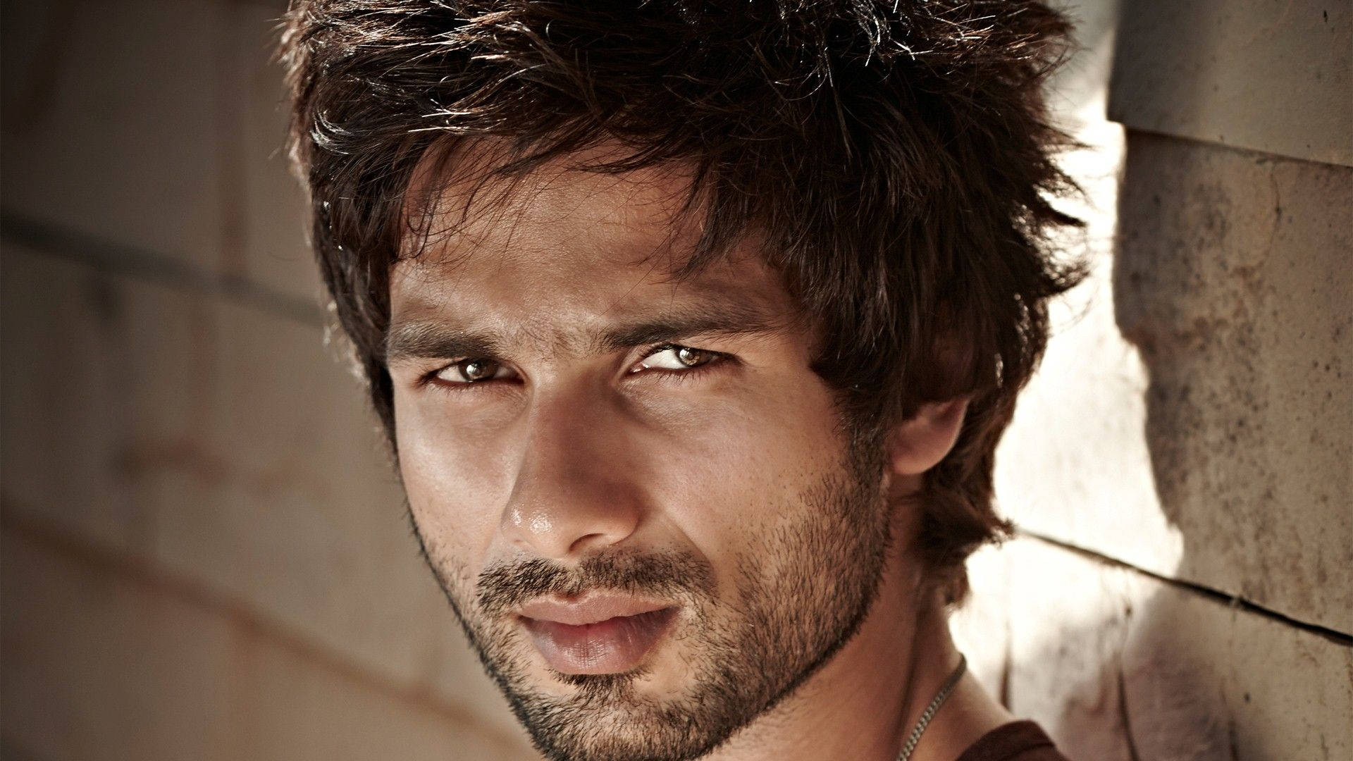 Shahid Kapoor 桌布 壁紙 — 一個頭髮深色凌亂、鬍渣未刮的男人，在陽光照射的石牆前凝視著。