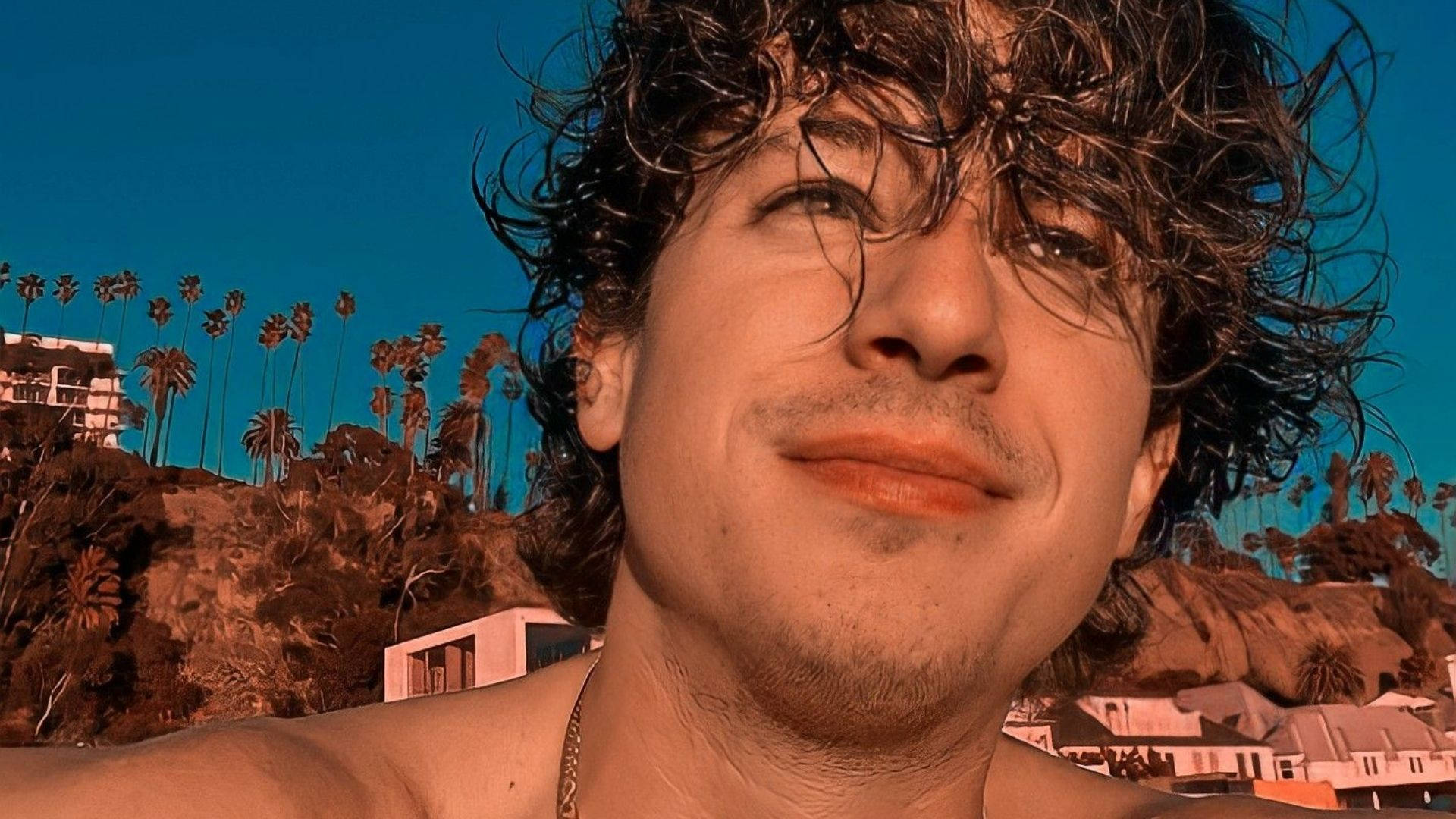 Charlie Puth 桌布 壁紙 — 一個頭髮濕漉漉、捲曲的男人在棕櫚樹和沿海山丘的背景下微笑，天空湛藍。