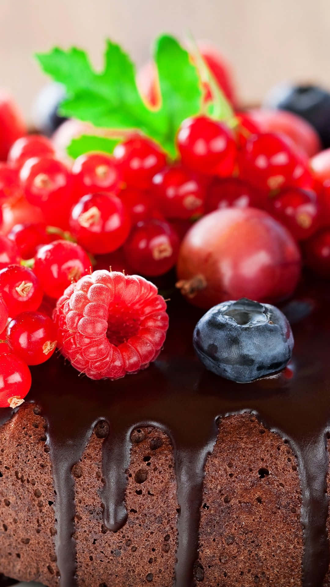 Berry 桌布 壁紙 — 一個頹廢的巧克力蛋糕，上面鋪滿了光澤的紅醋栗、覆盆子和藍莓，並以一片綠葉裝飾。