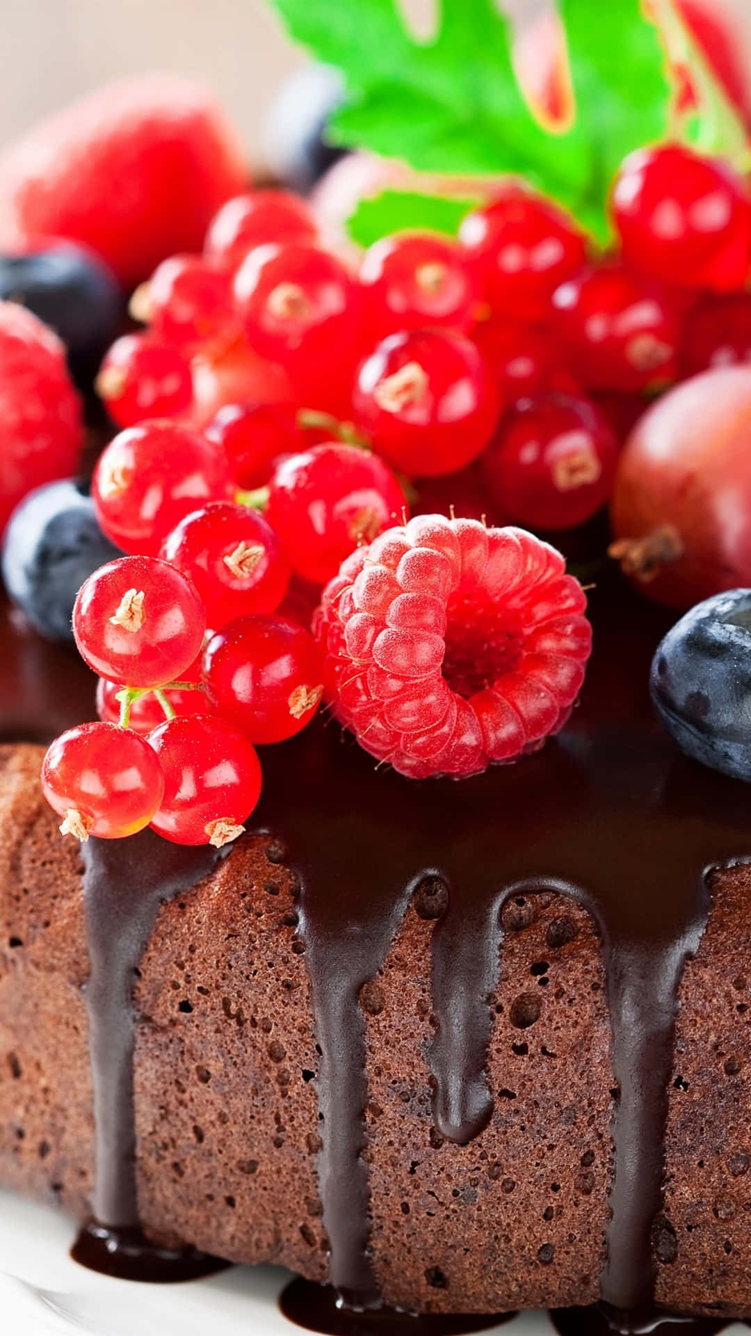 Berry 桌布 壁紙 — 一個頹廢的巧克力蛋糕，上面鋪滿閃亮的紅醋栗、覆盆子和藍莓，淋上光澤的巧克力醬。