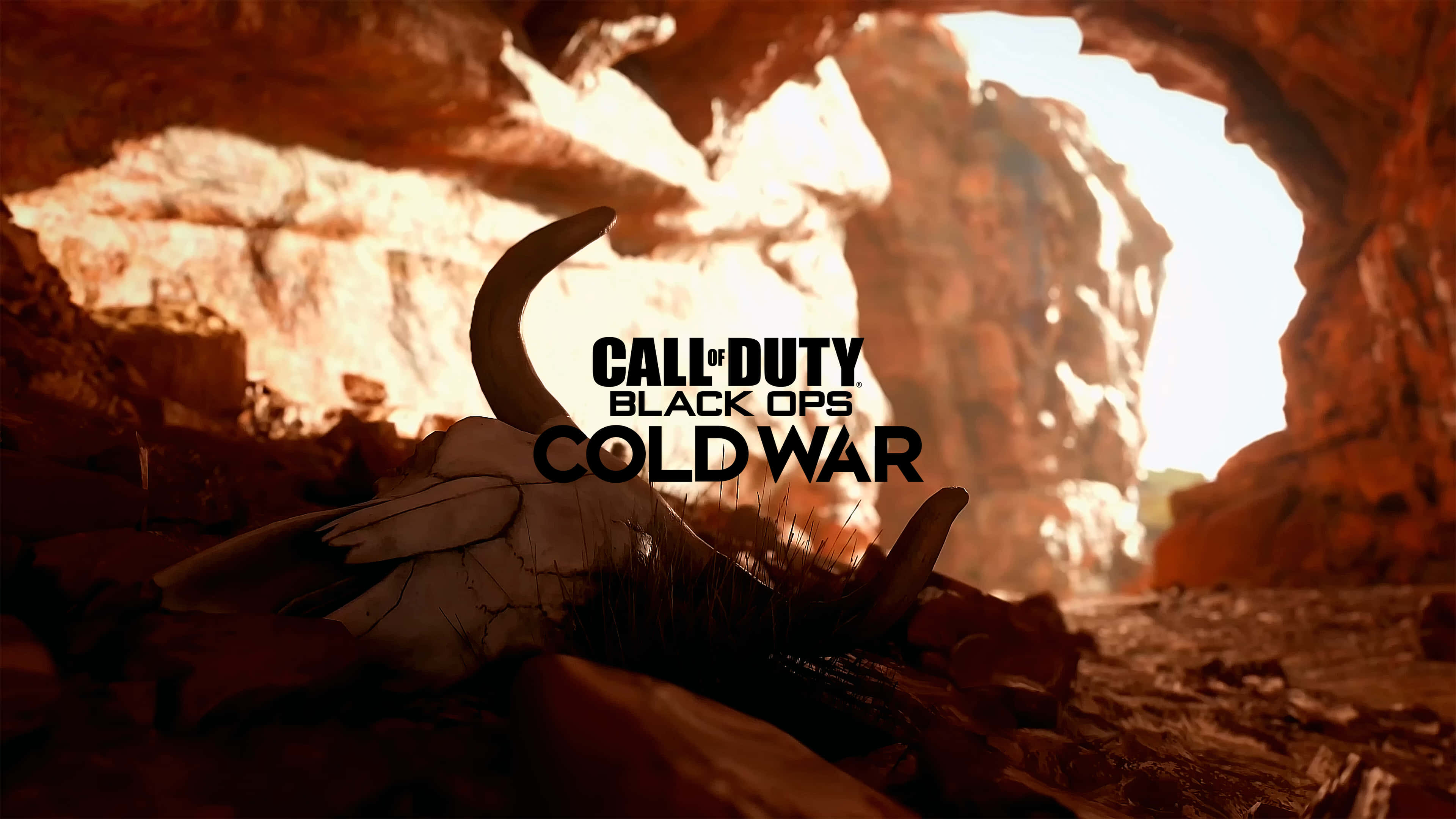4K Call Of Duty Black Ops Cold War 桌布 壁紙 — 一個風化的動物頭骨，帶有彎曲的角，躺在陽光普照的沙漠洞穴入口處，帶有岩石紋理和溫暖色調。