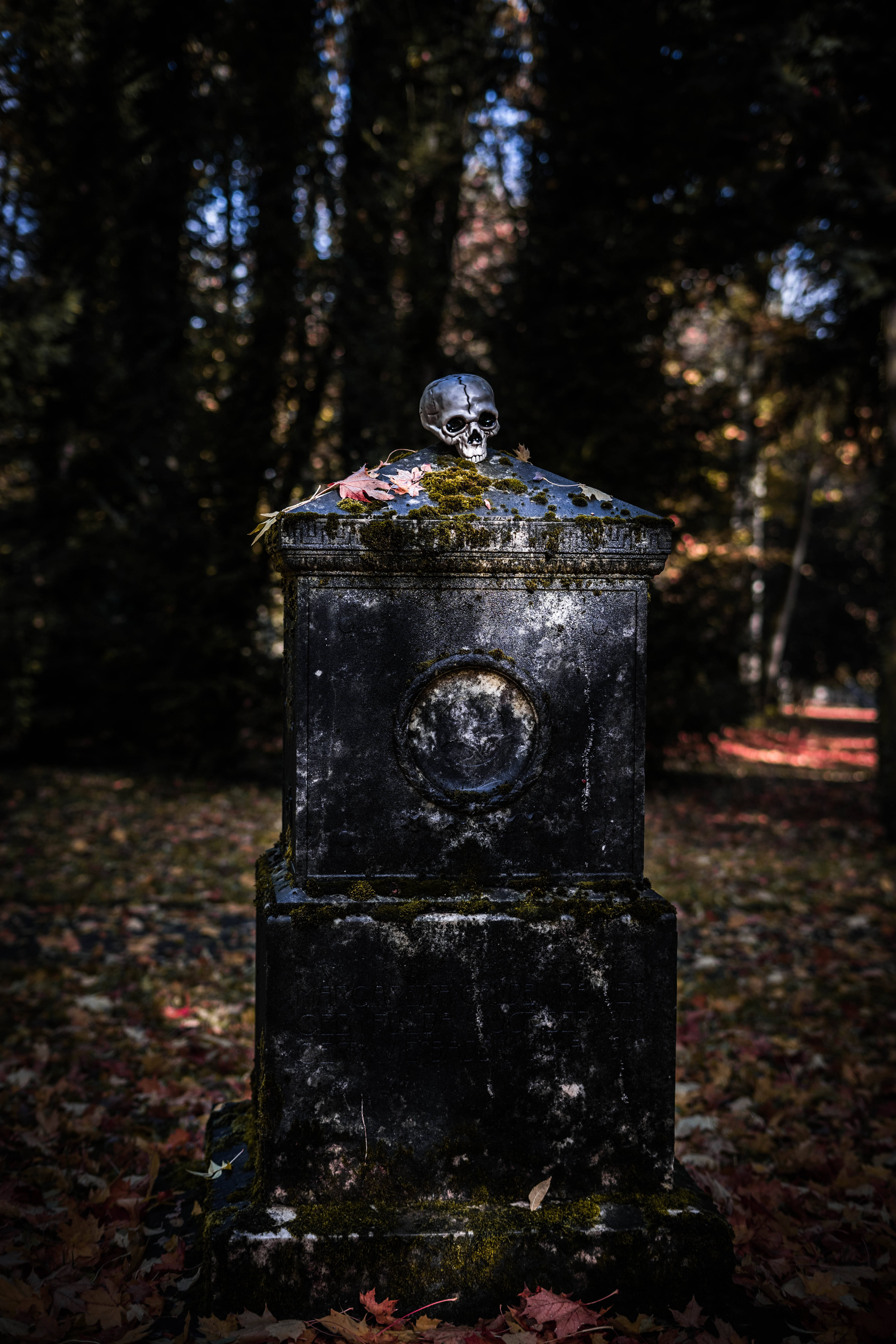 skulls 桌布 壁紙 — 一個風化的墓碑，頂端放著一個頭骨，莊嚴地矗立在鋪滿秋葉的森林中。