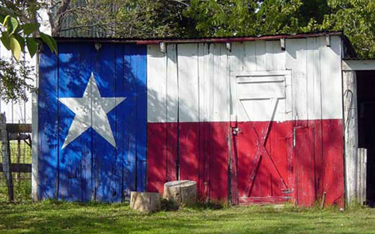 Texas 桌布 壁紙 — 一個風化的木棚，上面塗有德克薩斯州旗，矗立在草地上，陽光斑駁。