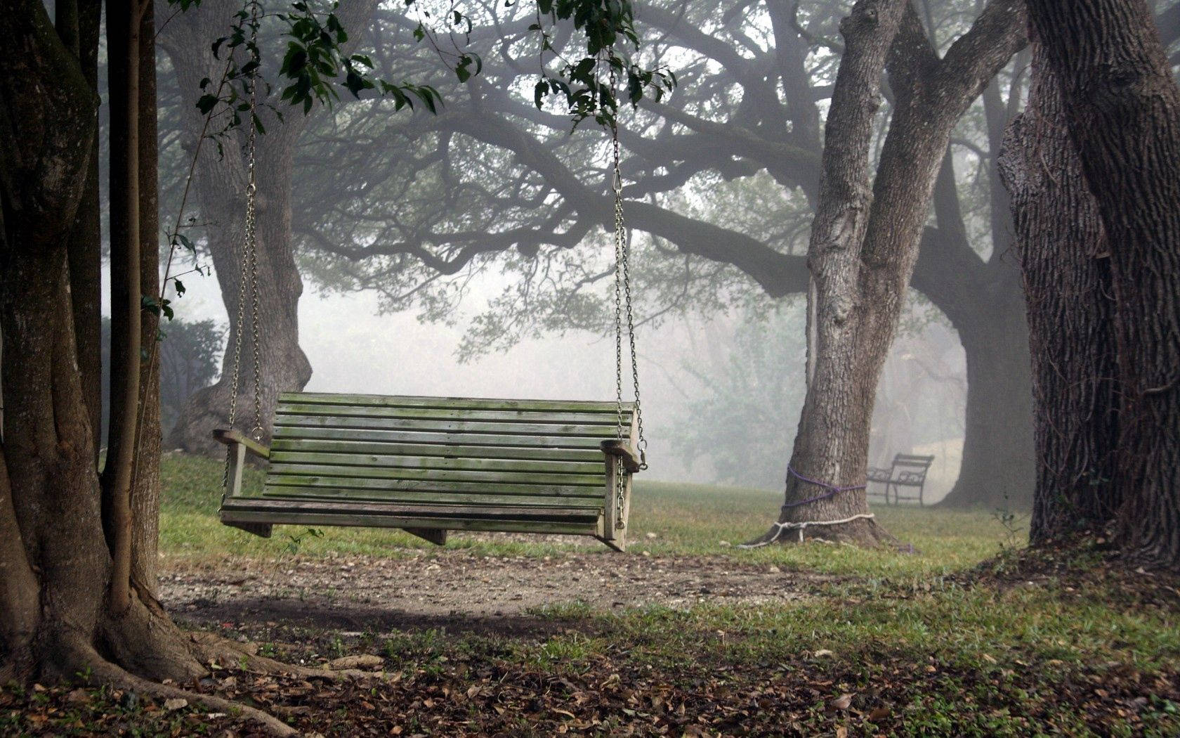 Park 桌布 壁紙 — 一個風化的木鞦韆懸掛在古老樹木之間，位於霧氣瀰漫的森林空地中，光線柔和而擴散。