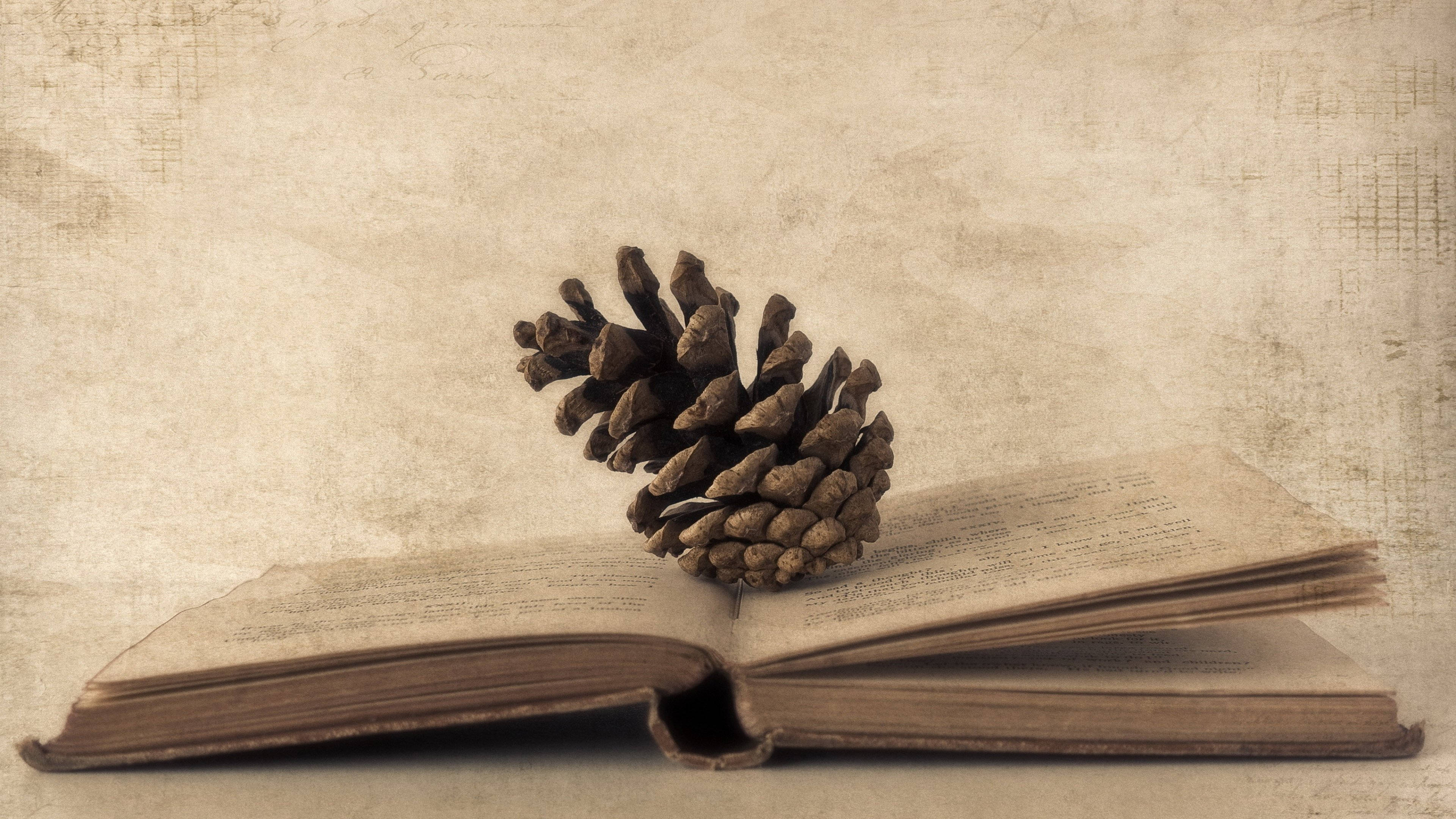 復古 桌布 壁紙 — 一個風化的松果擱在一本打開的復古書上，背景是帶紋理的米色。