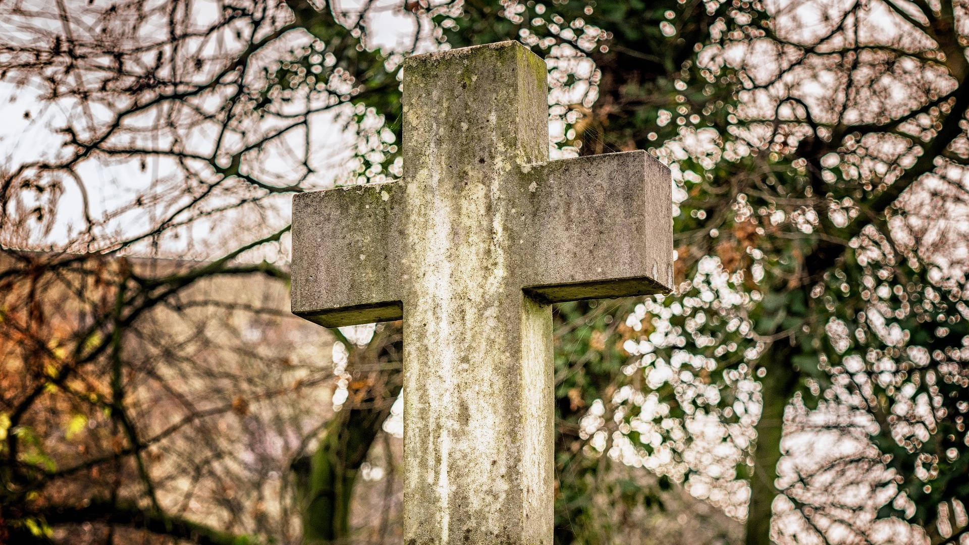 基督教 桌布 壁紙 — 一個風化的石十字架莊嚴地矗立在墓地中，被光禿的冬季樹木環繞，背景呈現柔和的散景效果。