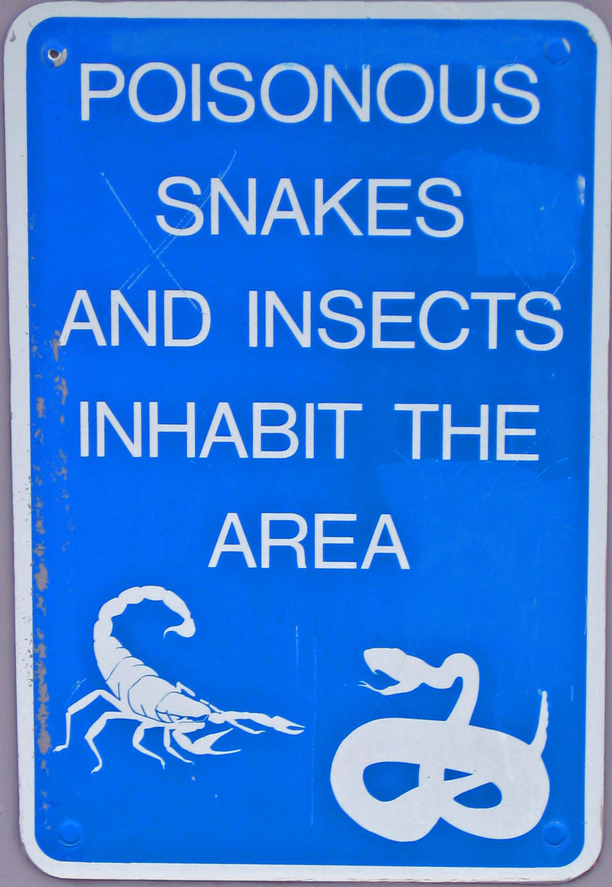 Warning Sign 桌布 壁紙 — 一個風化的藍色警告標誌，以白色文字和蠍子蛇圖標警告有毒蛇類和昆蟲。