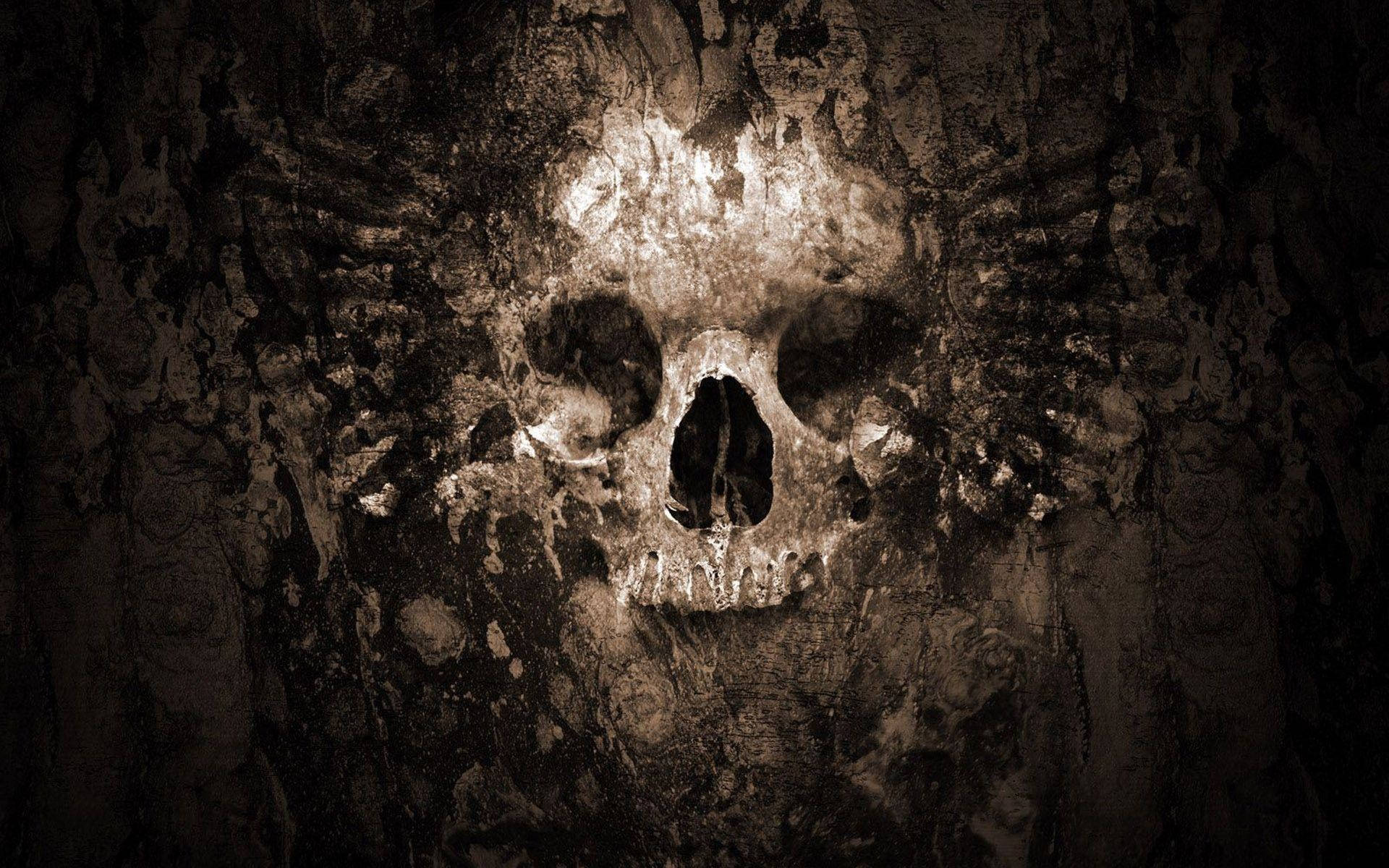 HD Skull 桌布 壁紙 — 一個風化的頭骨從裂開、有紋理的牆壁中浮現，處於昏暗陰森的環境中。
