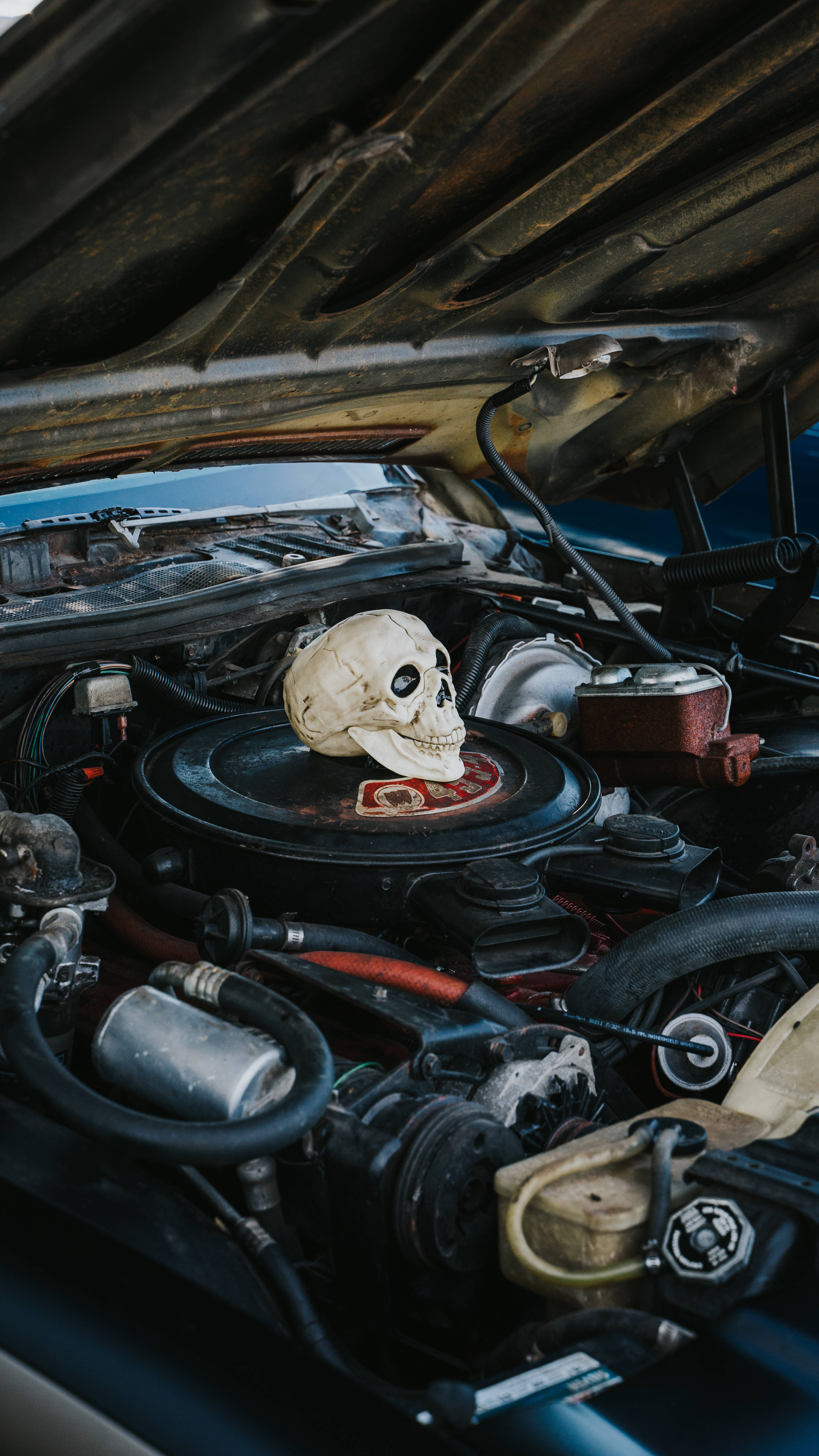 skulls 桌布 壁紙 — 一個風化的頭骨擱在一輛生鏽的經典汽車打開的引擎蓋下的灰塵引擎上。