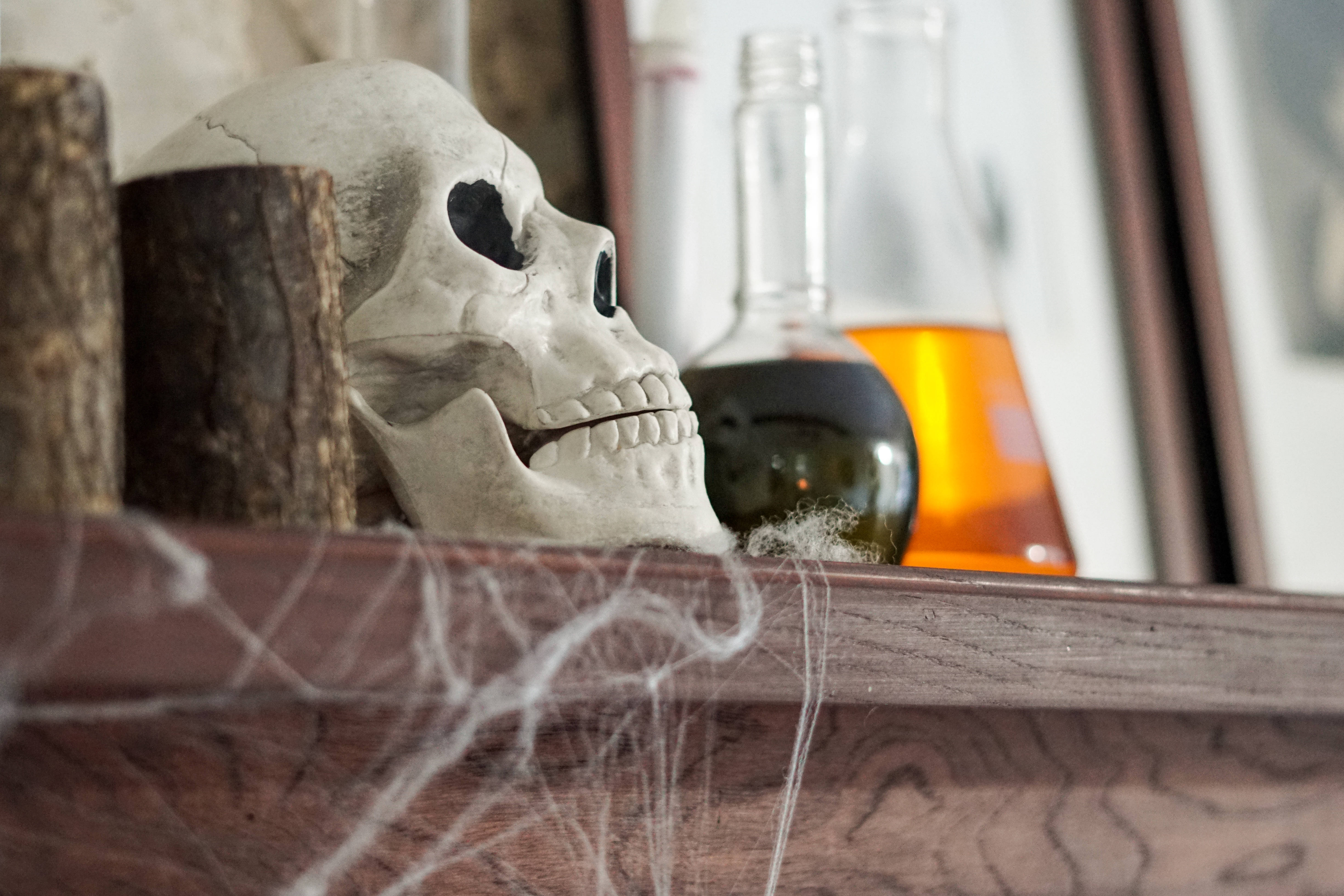 skulls 桌布 壁紙 — 一個風化的頭骨放在木架上，旁邊有玻璃瓶和蜘蛛網，營造出詭異的萬聖節展示。
