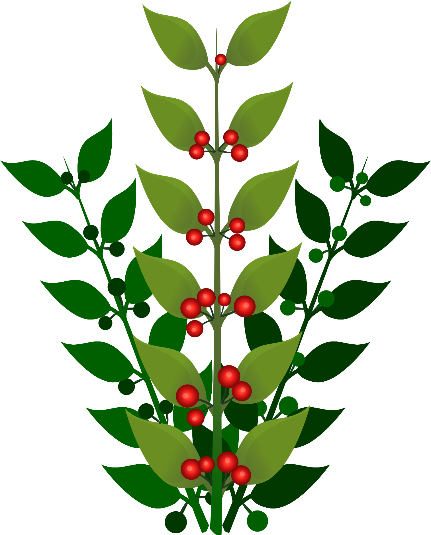 Fruits 桌布 壁紙 — 一個風格化的冬青枝插圖，帶有光澤的紅色漿果和尖尖的綠色葉子，背景為黑色。