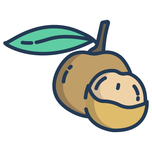 Longan 桌布 壁紙 — 一個風格化的卡通插圖，描繪一個帶有綠色葉子的棕色水果，上面有一個咬痕，露出其蒼白的內部。