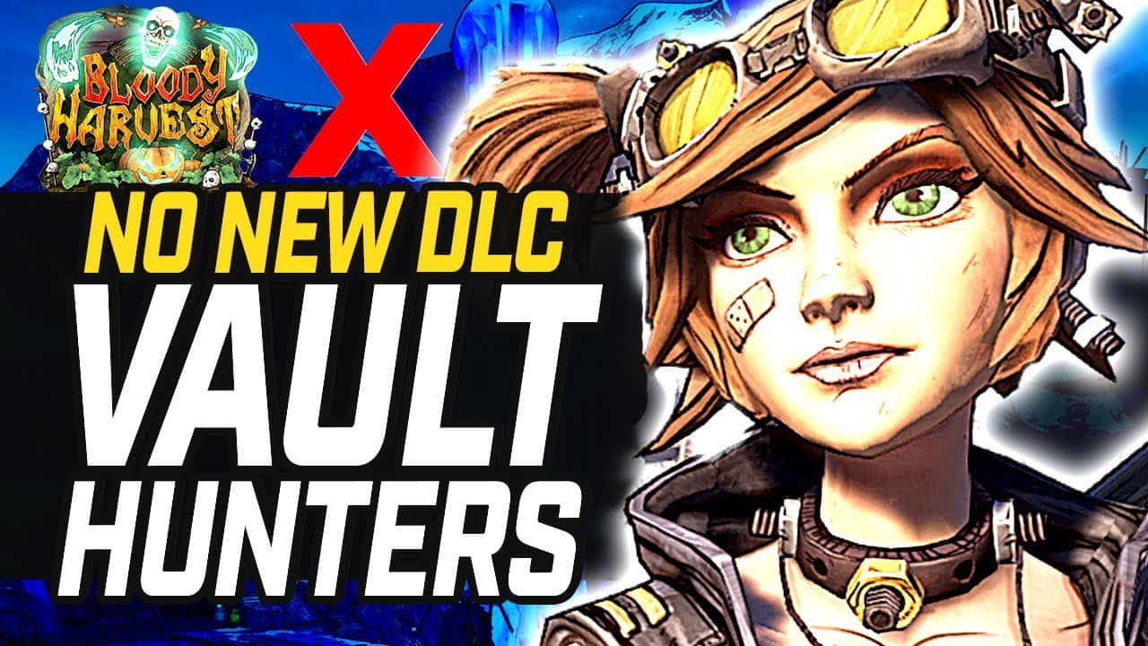 Borderlands Characters 桌布 壁紙 — 一個風格化的女性角色，戴著護目鏡和繃帶，在遊戲主題背景前直視前方，粗體文字宣佈沒有新的DLC。