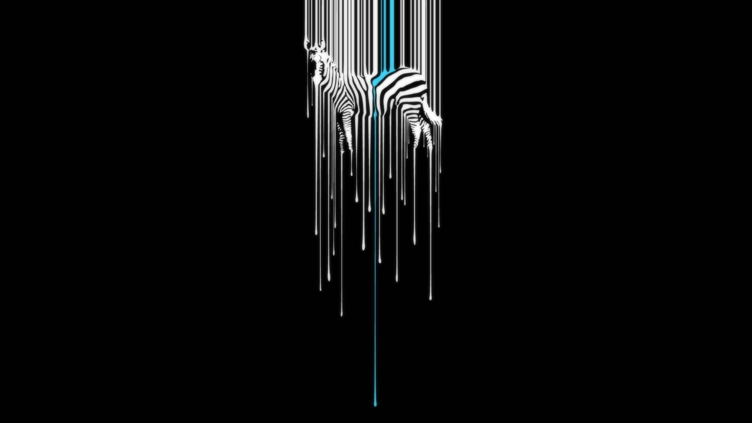 Zebra 桌布 壁紙 — 一個風格化的斑馬剪影，在純黑背景上滴落白色和青綠色的線條。