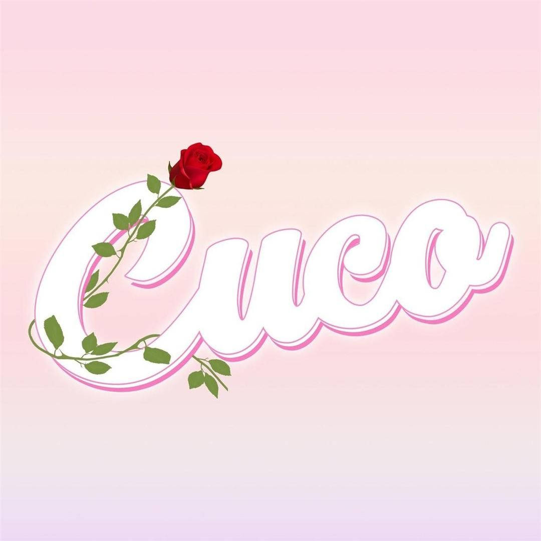 Rose Aesthetic 桌布 壁紙 — 一個風格化的白色草書名字「Cico」，帶有紅玫瑰和綠色藤蔓優雅地纏繞在字母之間，背景為柔和的粉紅色漸層。
