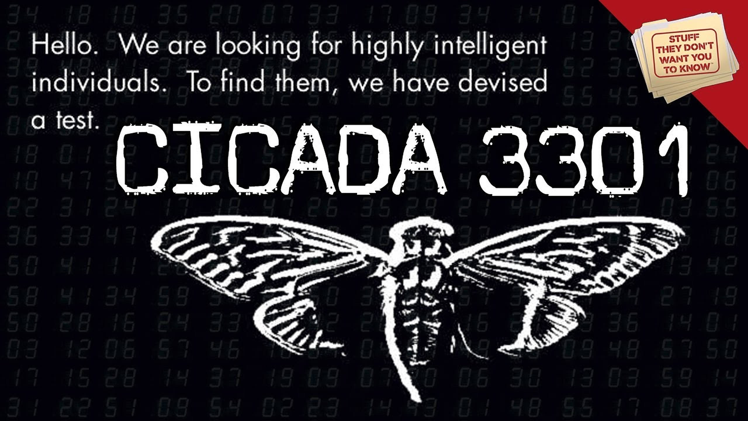 Cicada 桌布 壁紙 — 一個風格化的蟬插圖疊加在數位數字矩陣上，並附有文字宣佈對聰明個體的測試。