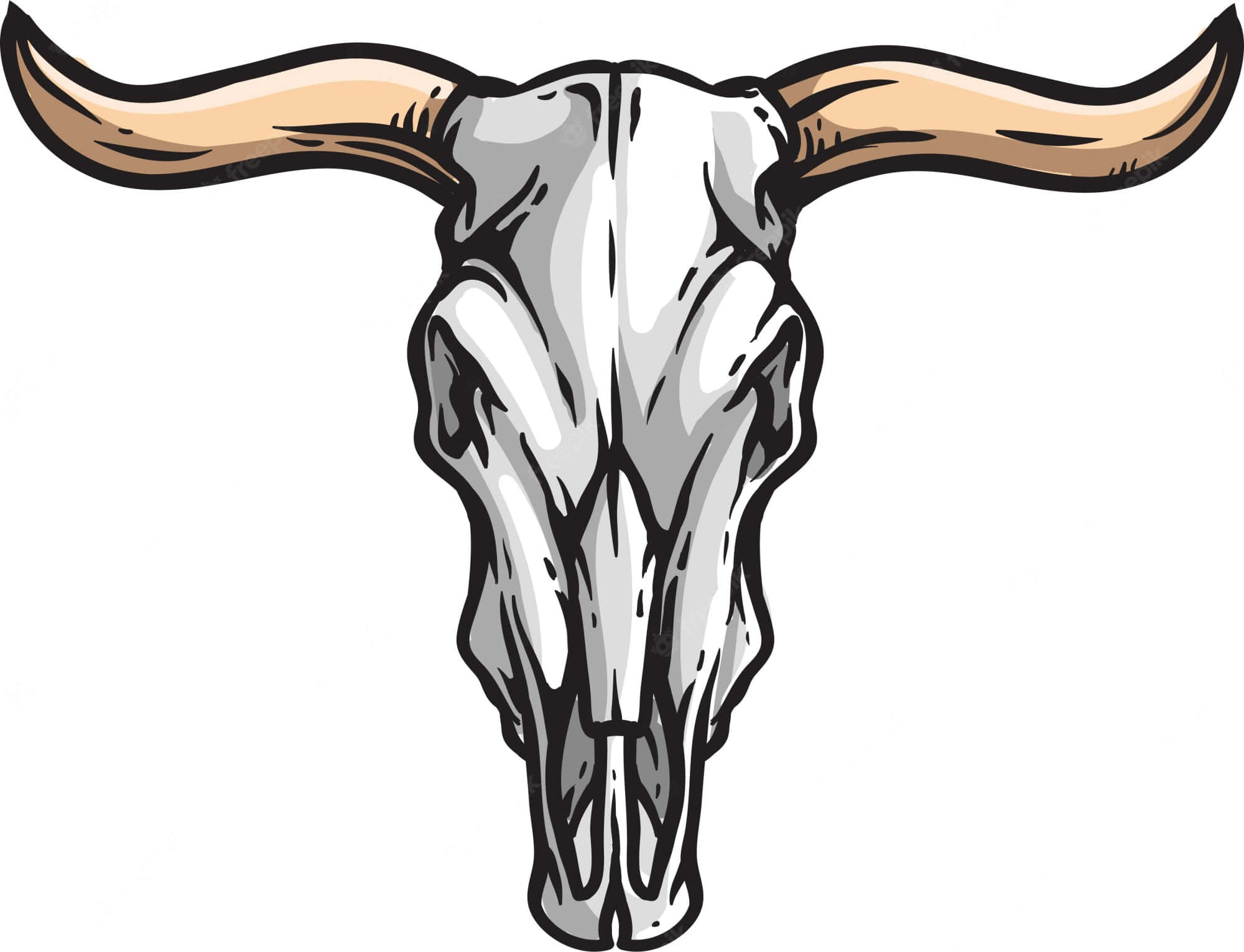 Cow Skull 桌布 壁紙 — 一個風格化的長角牛頭骨插圖，帶有彎曲的角和粗黑輪廓，背景為純白色。
