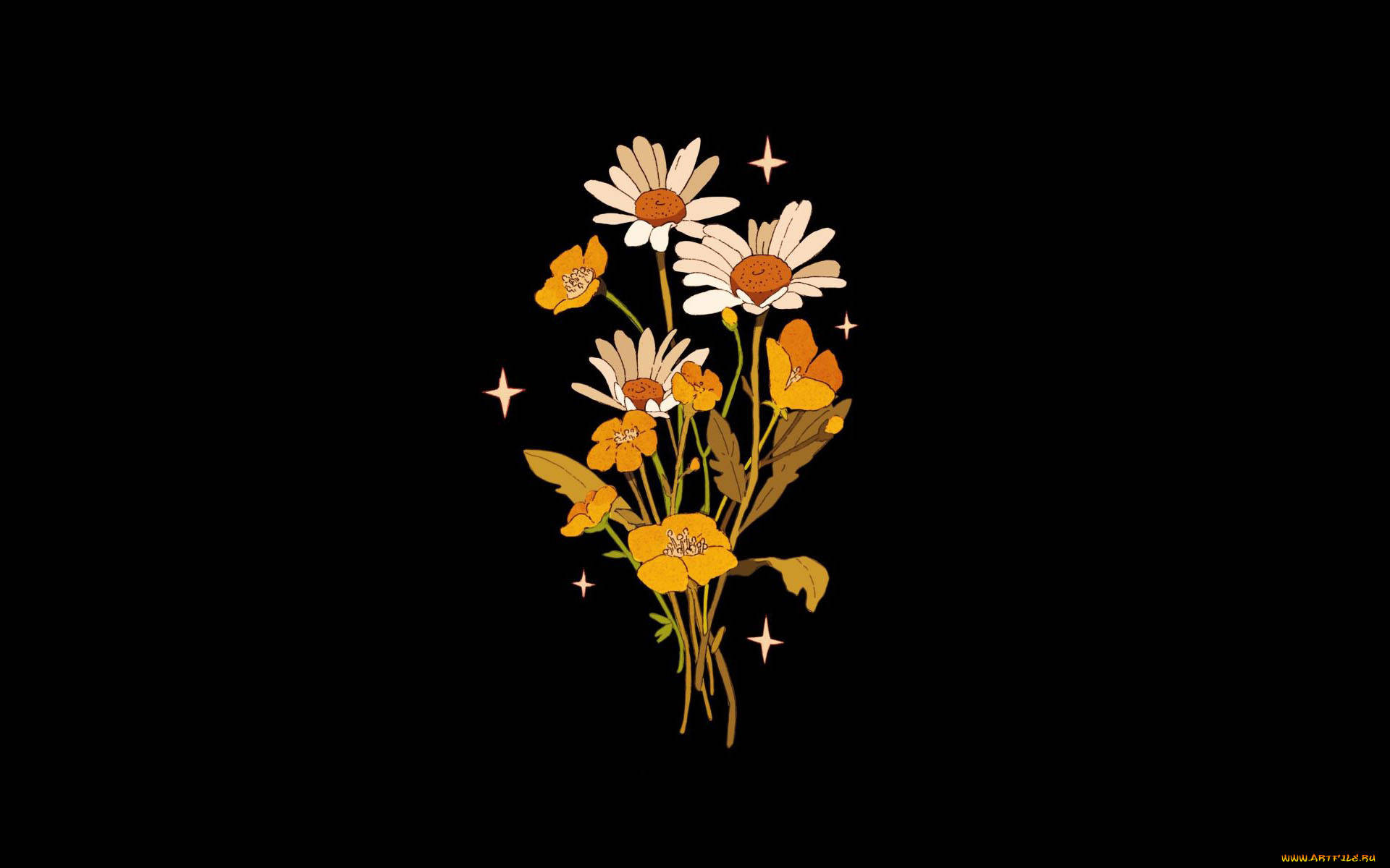 Minimalist Flower Computer 桌布 壁紙 — 一個風格化的雛菊和罌粟花束，帶有發光的星星，襯托黑色背景。