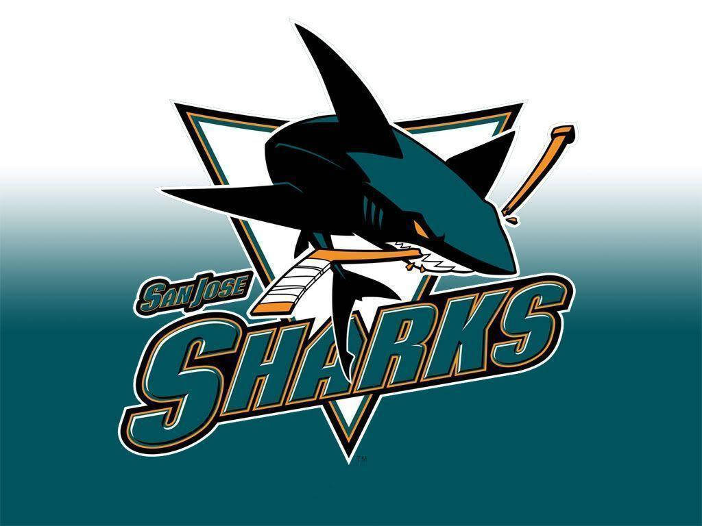 sharks 桌布 壁紙 — 一個風格化的青綠色和黑色鯊魚標誌咬著曲棍球棒，背景是漸變青綠色，帶有「San Jose Sharks」文字。
