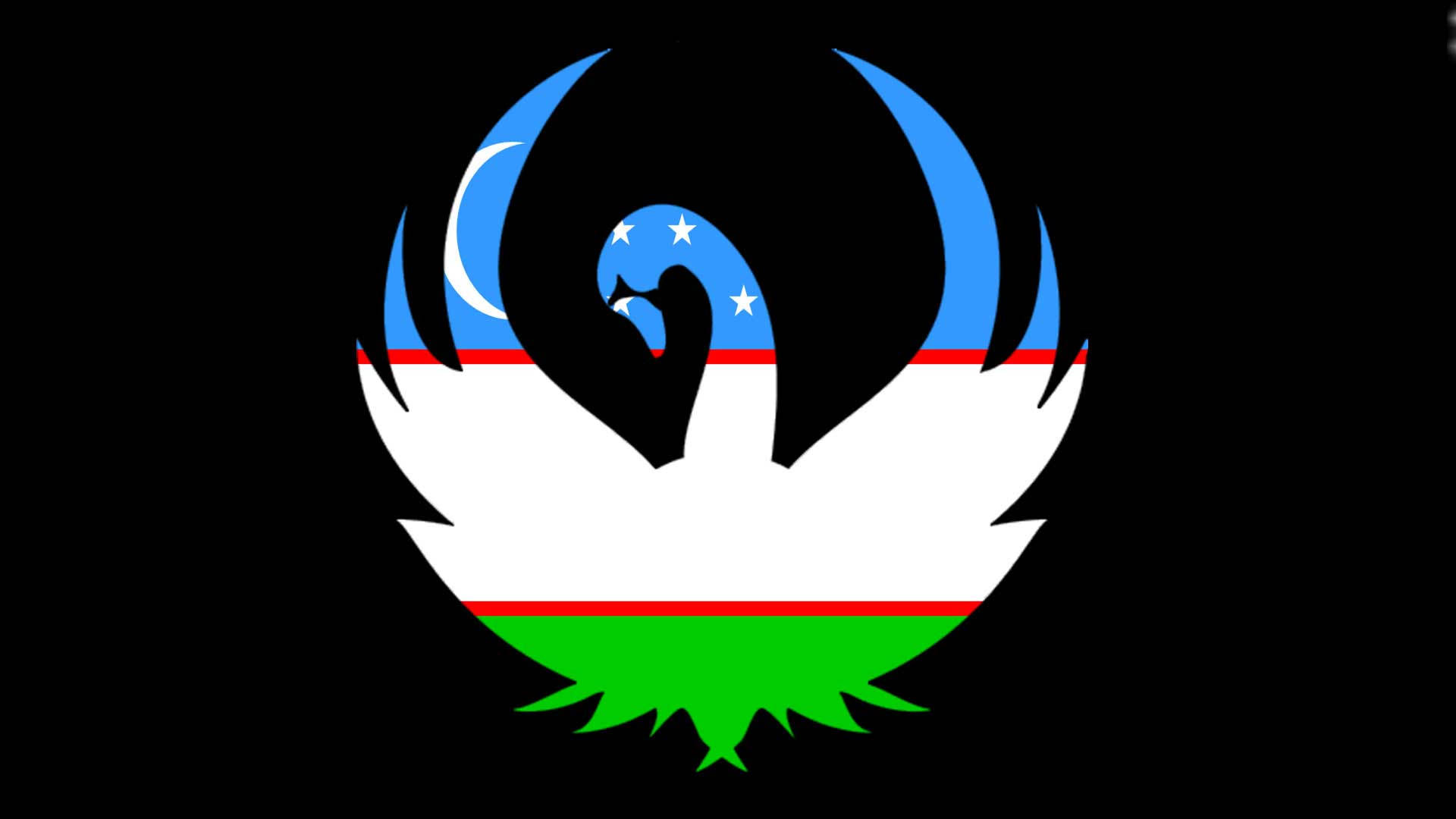 Uzbekistan 桌布 壁紙 — 一個風格化的黑、白、綠色鳥類徽章，帶有藍色新月和星星，背景為黑色。