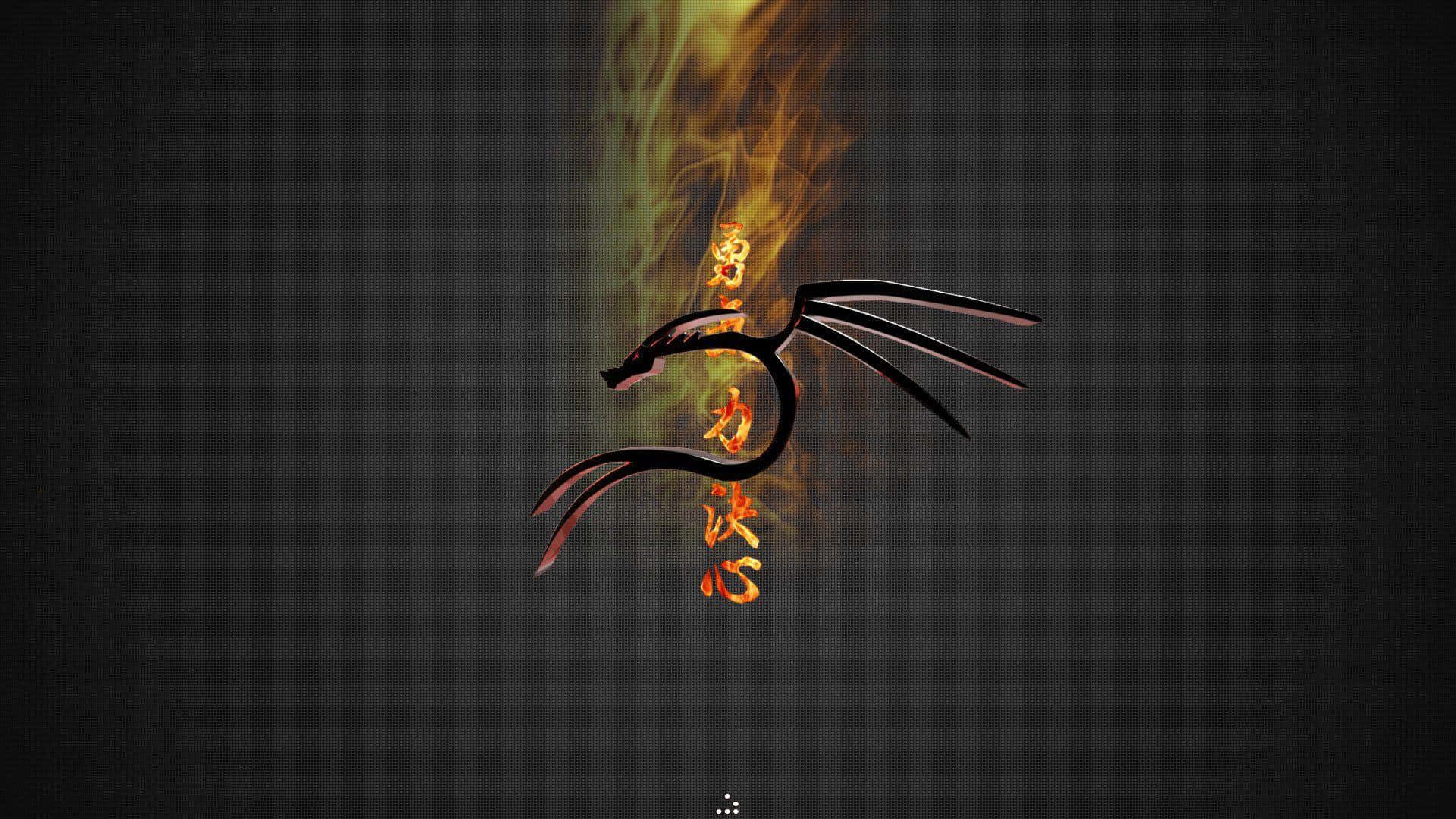 Kali Linux 桌布 壁紙 — 一個風格化的黑色龍剪影從熾熱的橙色火焰中浮現，背景為深灰色，帶有發光的日文字元。
