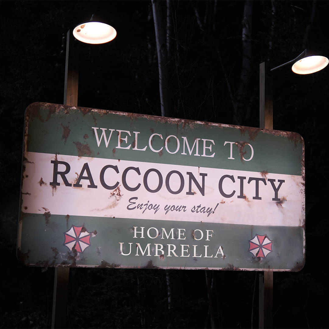 raccoon 桌布 壁紙 — 一個飽經風霜的浣熊市歡迎牌在夜晚街燈下發光，兩旁是光禿禿的樹木。